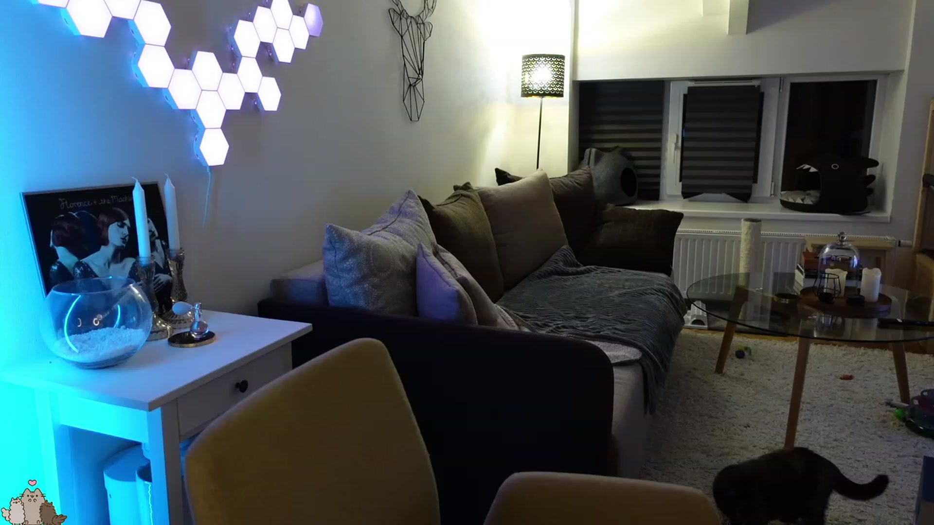 Gallery image thumbnail from MissMaddies's myfreecams stream on, 03/24/2023, 01:55 image 3 of 20