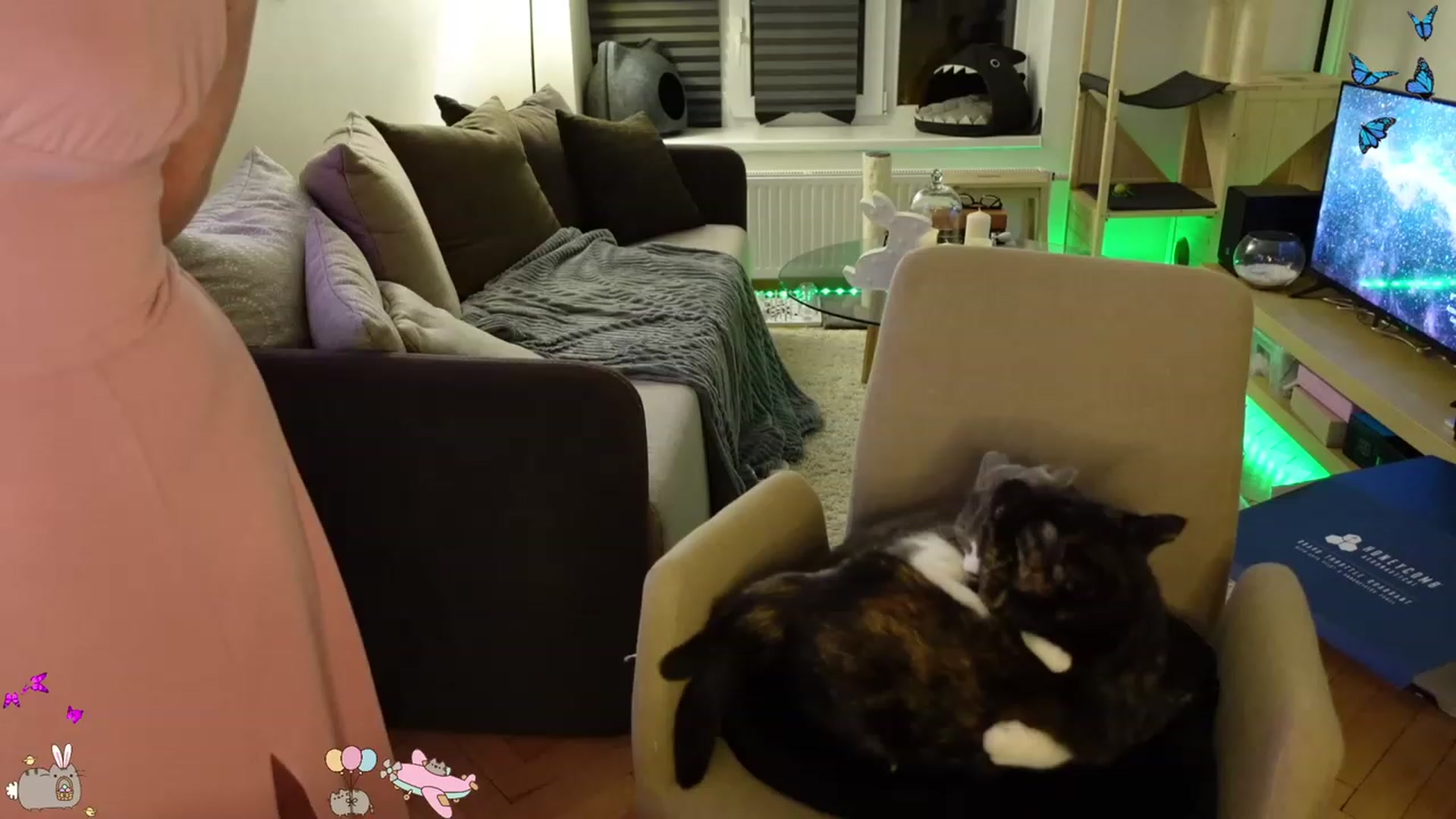 Gallery image thumbnail from MissMaddies's myfreecams stream on, 04/02/2023, 02:03 image 20 of 20