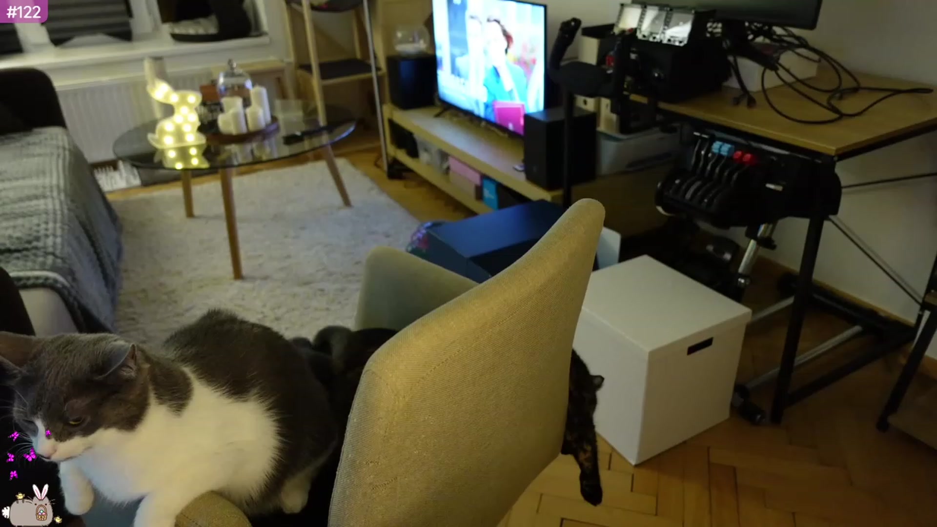 Gallery image thumbnail from MissMaddies's myfreecams stream on, 04/10/2023, 03:14 image 9 of 20