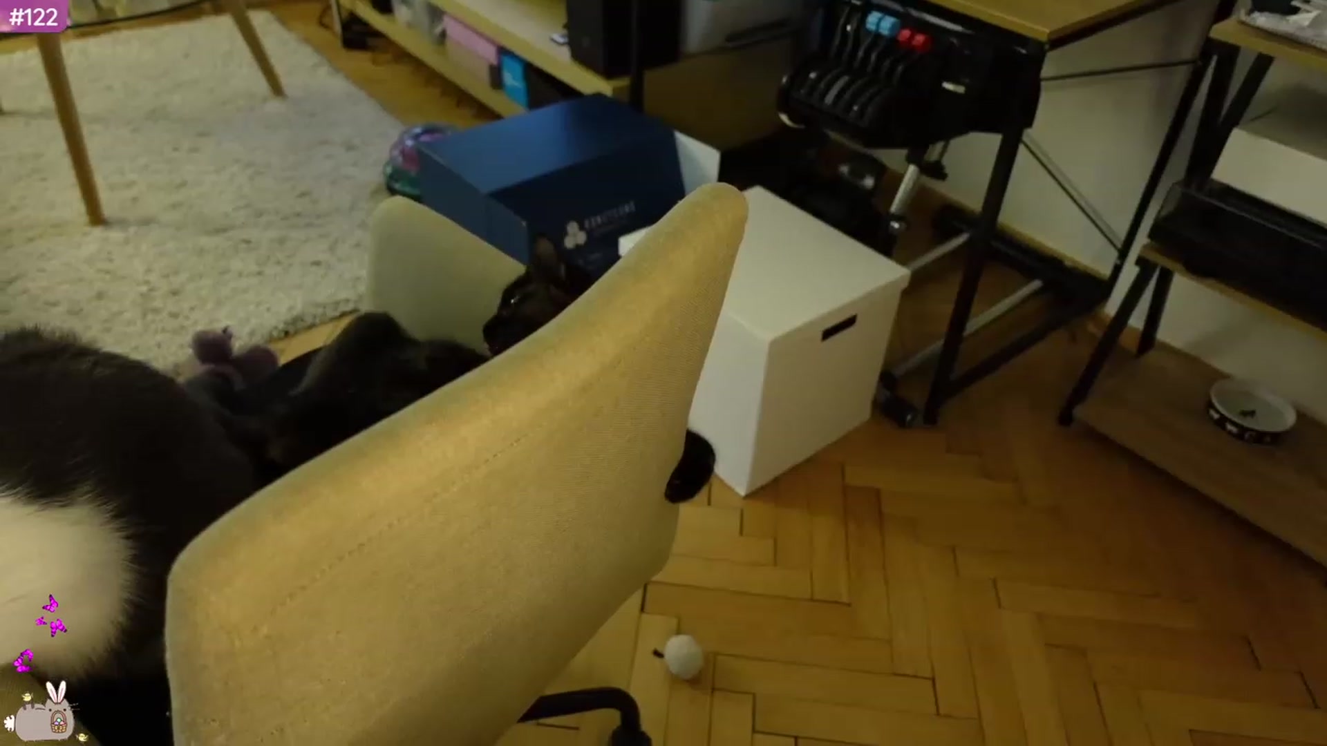 Gallery image thumbnail from MissMaddies's myfreecams stream on, 04/10/2023, 03:14 image 8 of 20
