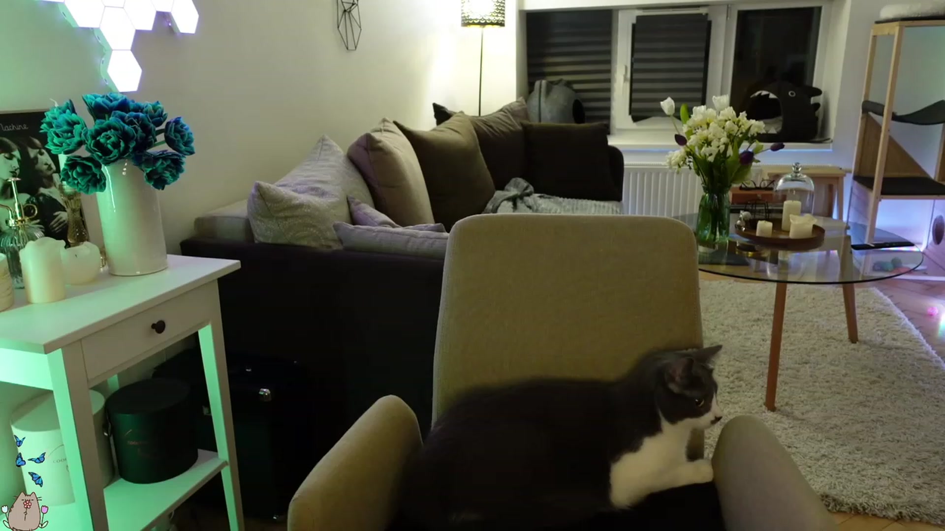 Gallery image thumbnail from MissMaddies's myfreecams stream on, 05/08/2023, 02:25 image 20 of 20