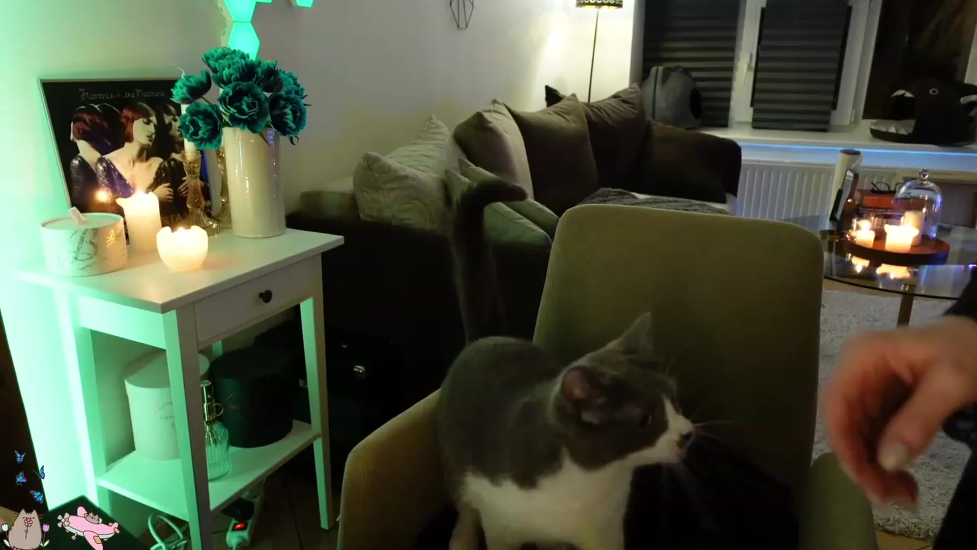 Gallery image thumbnail from MissMaddies's myfreecams stream on, 05/11/2023, 02:02 image 4 of 20