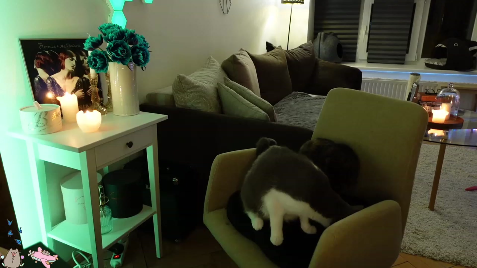 Gallery image thumbnail from MissMaddies's myfreecams stream on, 05/11/2023, 02:02 image 5 of 20