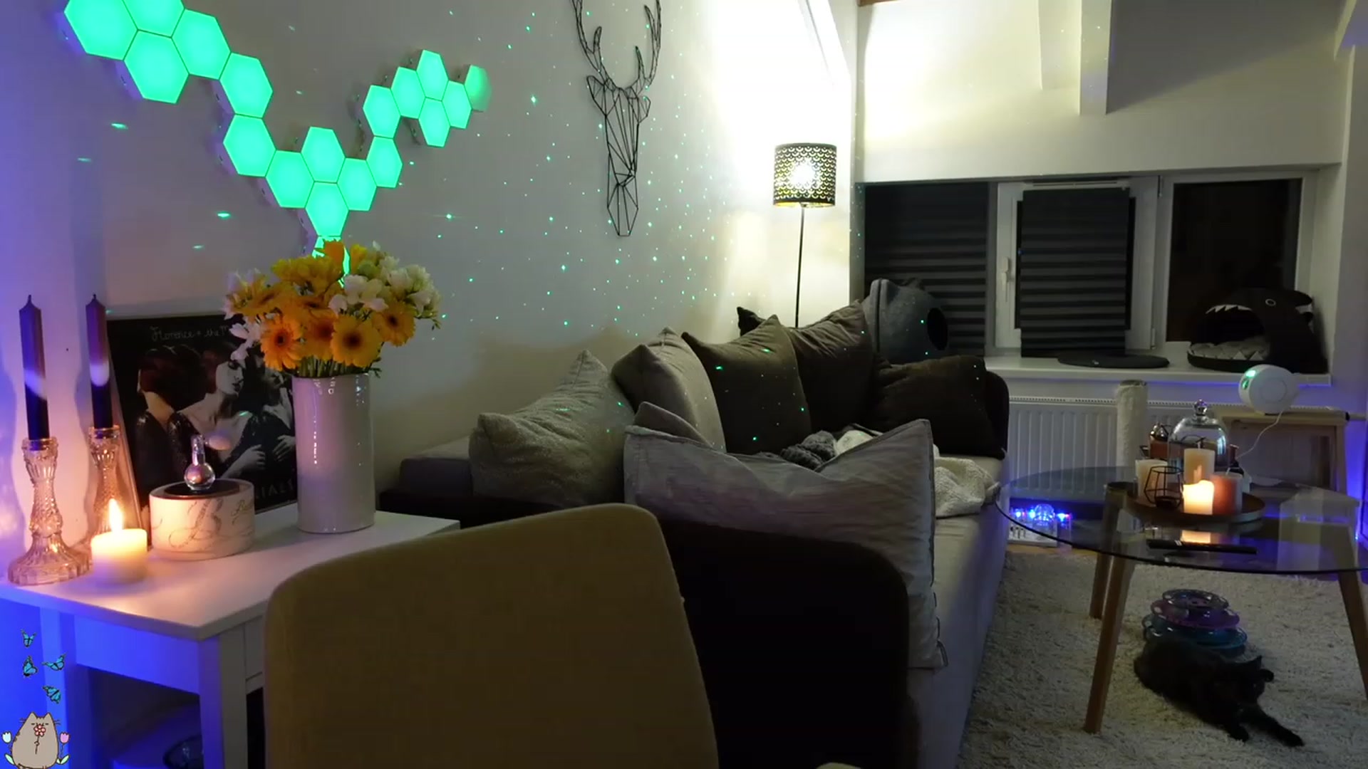 Gallery image thumbnail from MissMaddies's myfreecams stream on, 05/21/2023, 01:52 image 2 of 20