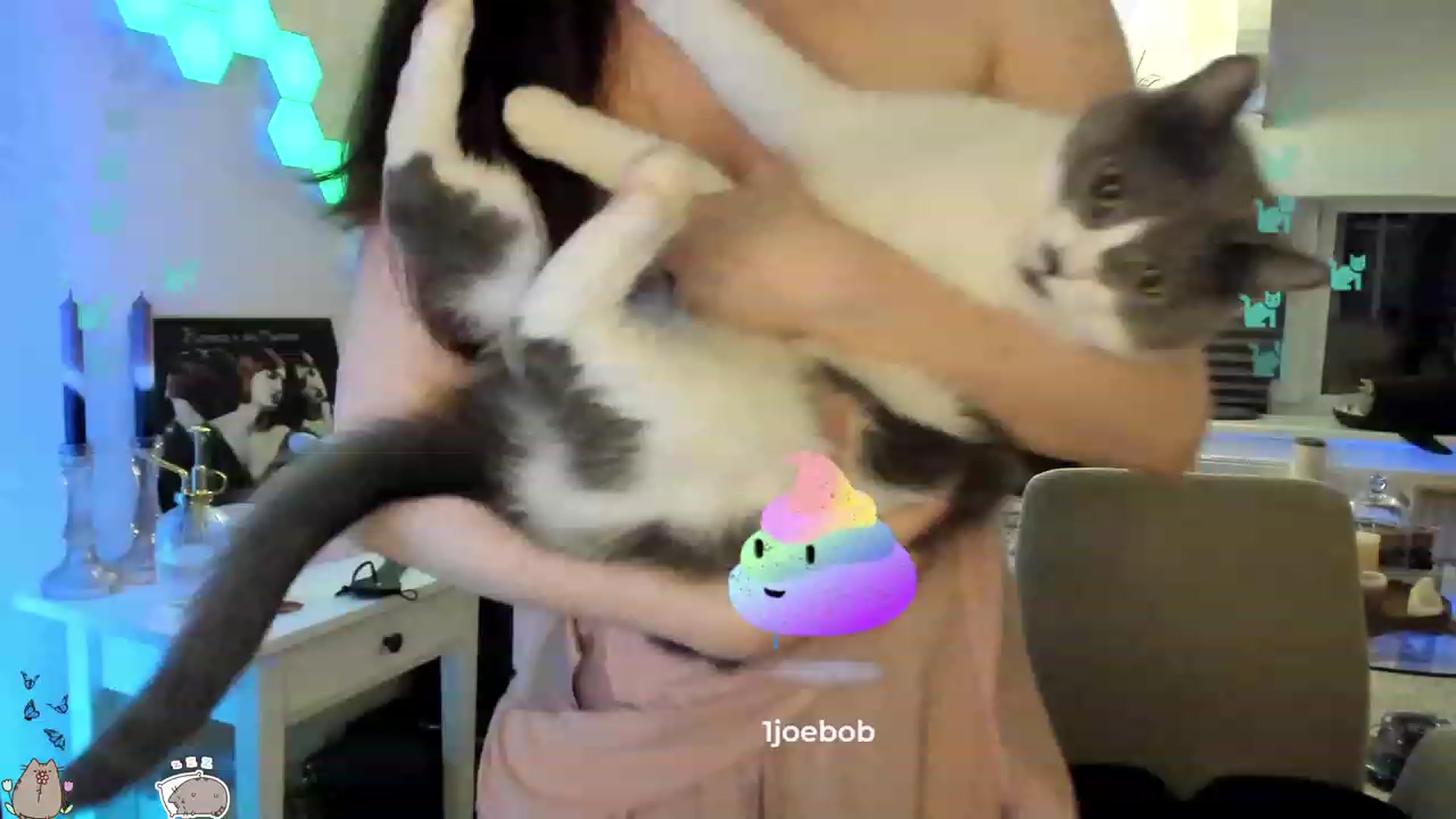 Gallery image thumbnail from MissMaddies's myfreecams stream on, 06/12/2023, 02:13 image 20 of 20