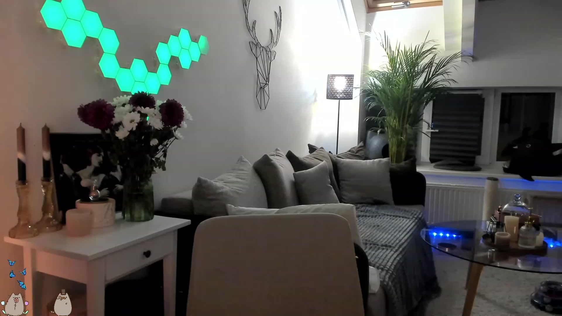 Gallery image thumbnail from MissMaddies's myfreecams stream on, 06/16/2023, 23:55 image 7 of 20