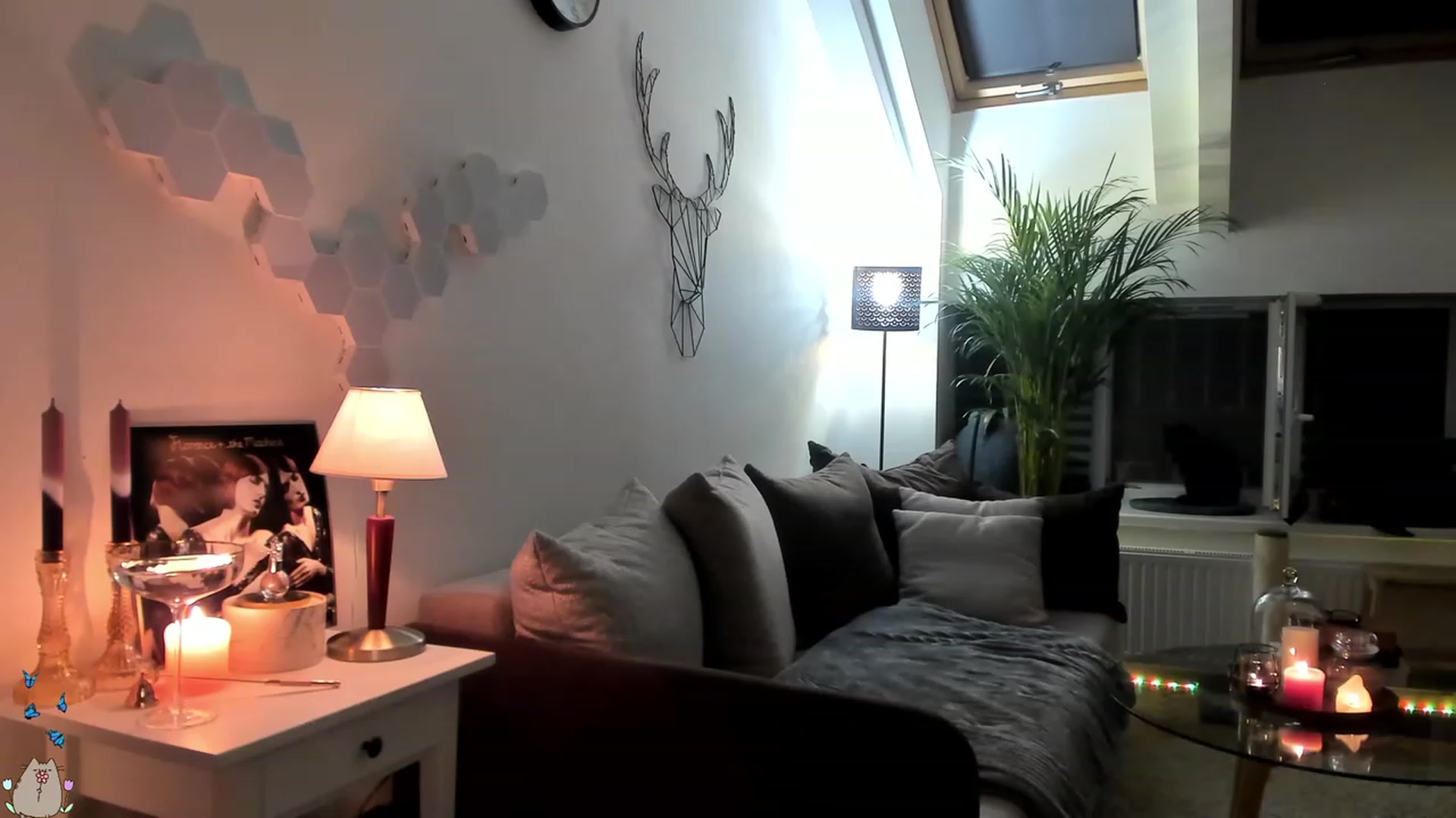Gallery image thumbnail from MissMaddies's myfreecams stream on, 06/17/2023, 22:37 image 14 of 20