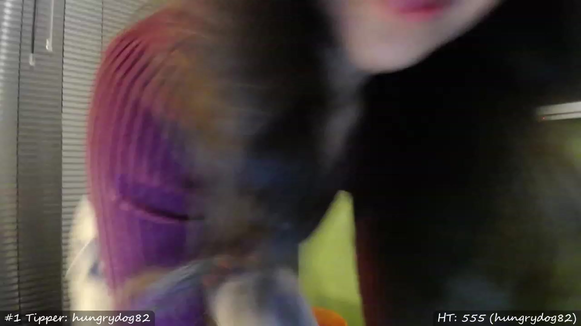Gallery image thumbnail from MissMasie's myfreecams stream on, 01/21/2023, 18:29 image 14 of 20