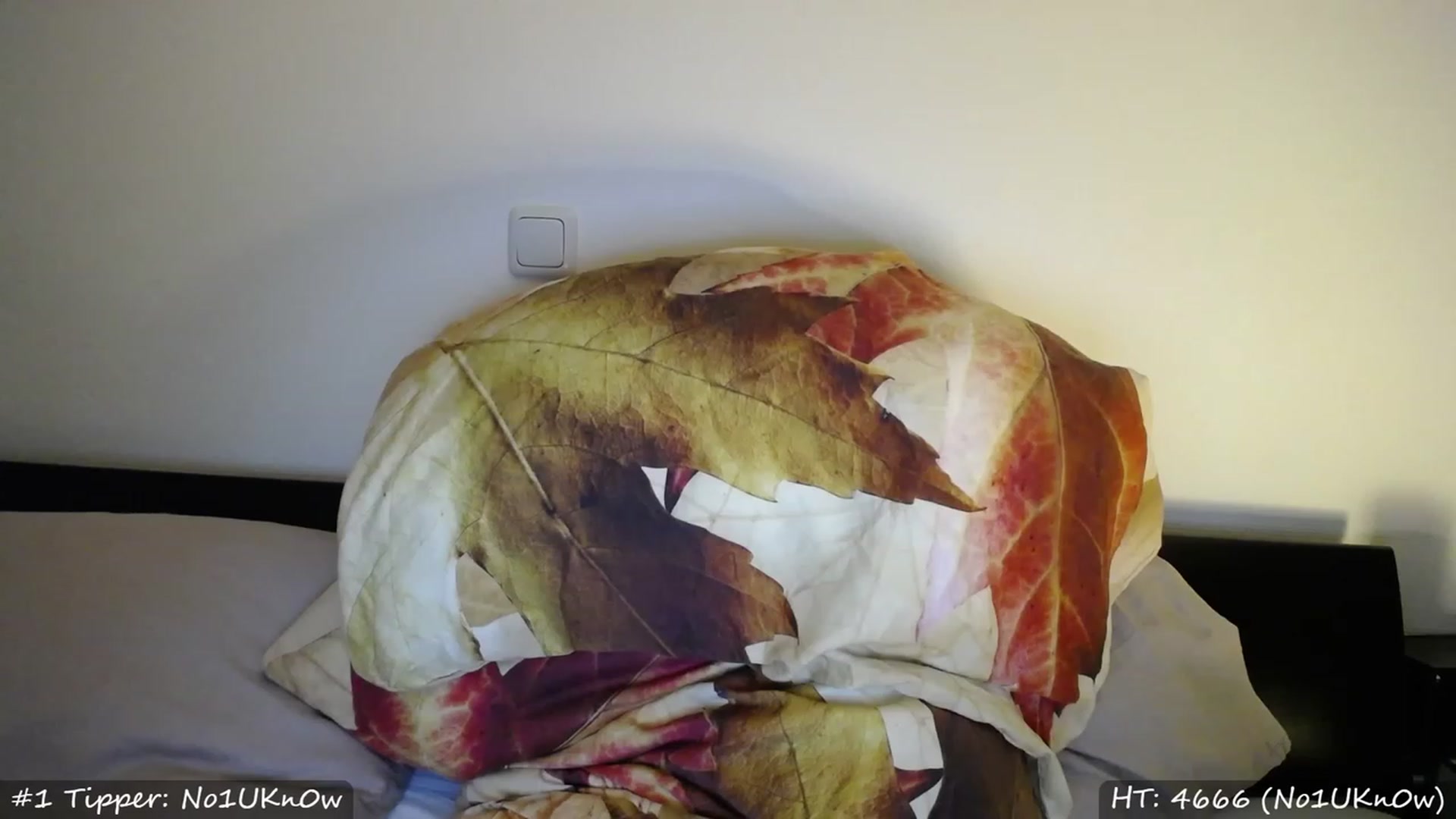 Gallery image thumbnail from MissMasie's myfreecams stream on, 02/03/2023, 20:41 image 6 of 20