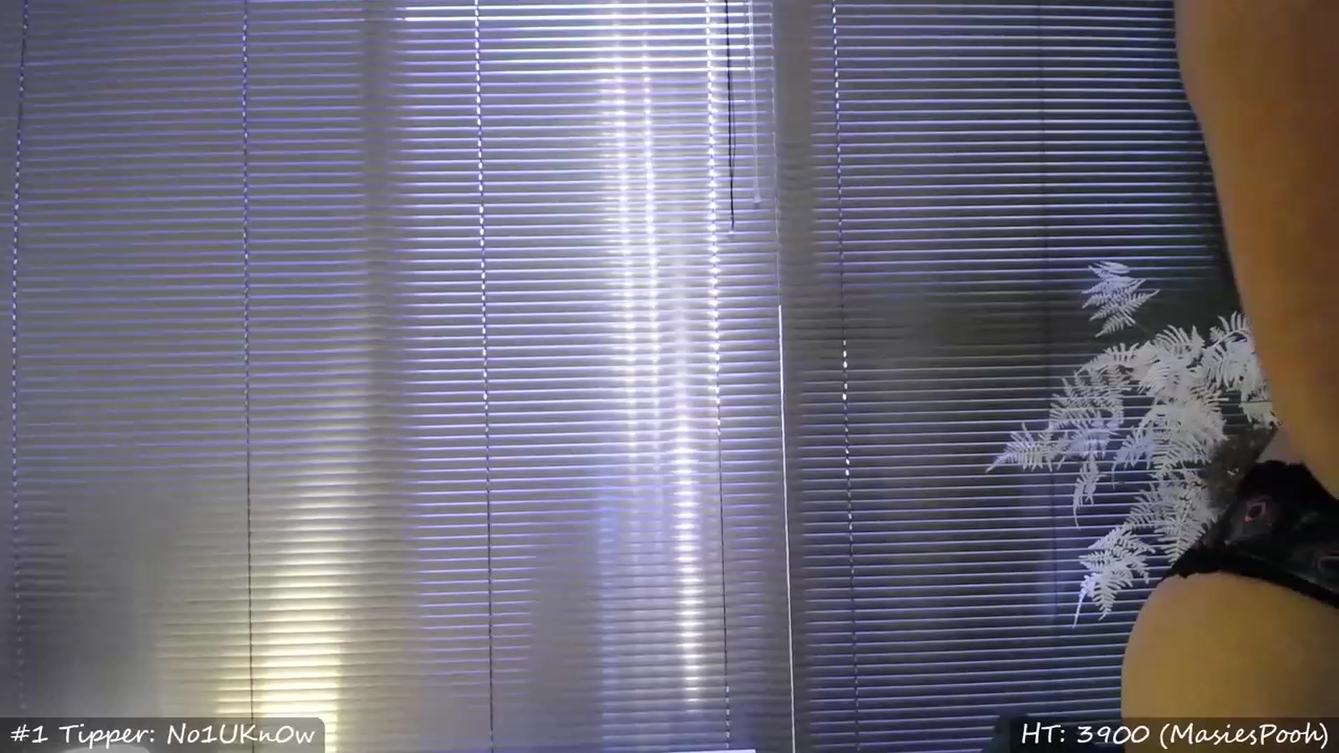 Gallery image thumbnail from MissMasie's myfreecams stream on, 04/15/2023, 05:23 image 17 of 20