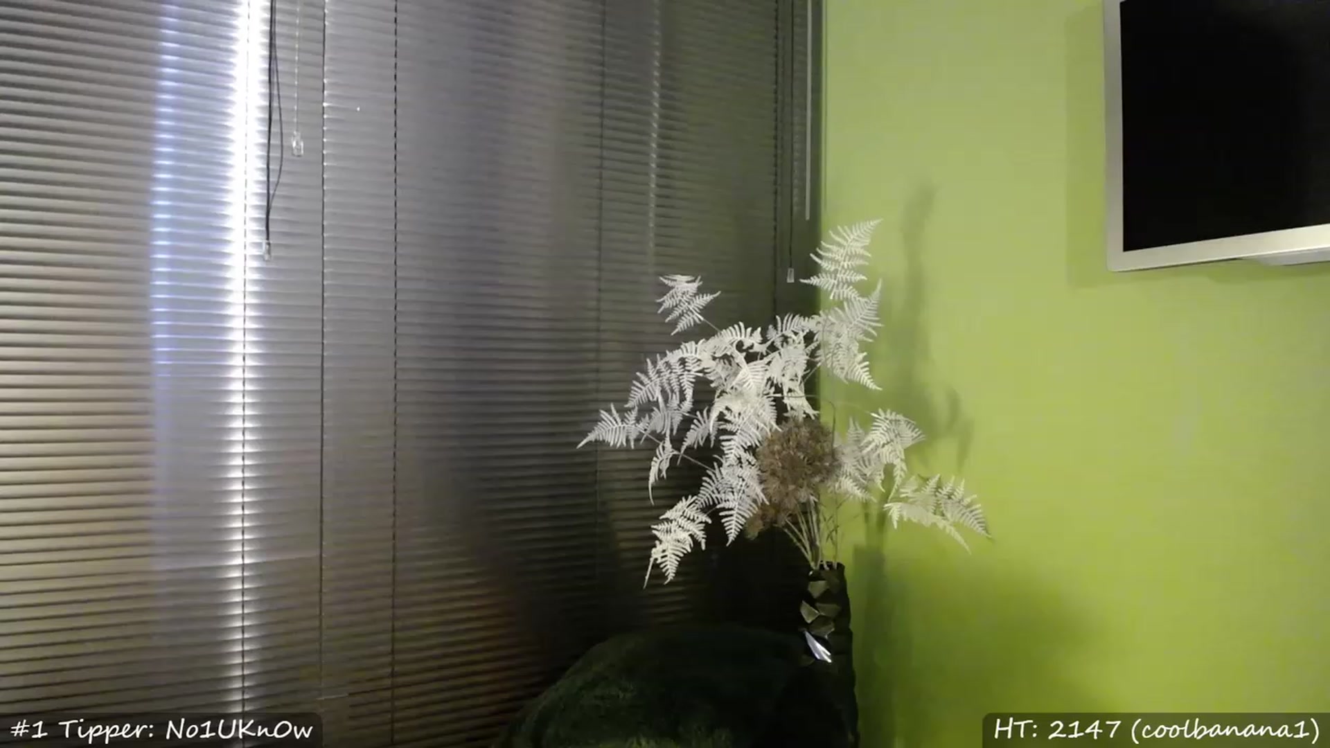 Gallery image thumbnail from MissMasie's myfreecams stream on, 04/22/2023, 24:03 image 11 of 20