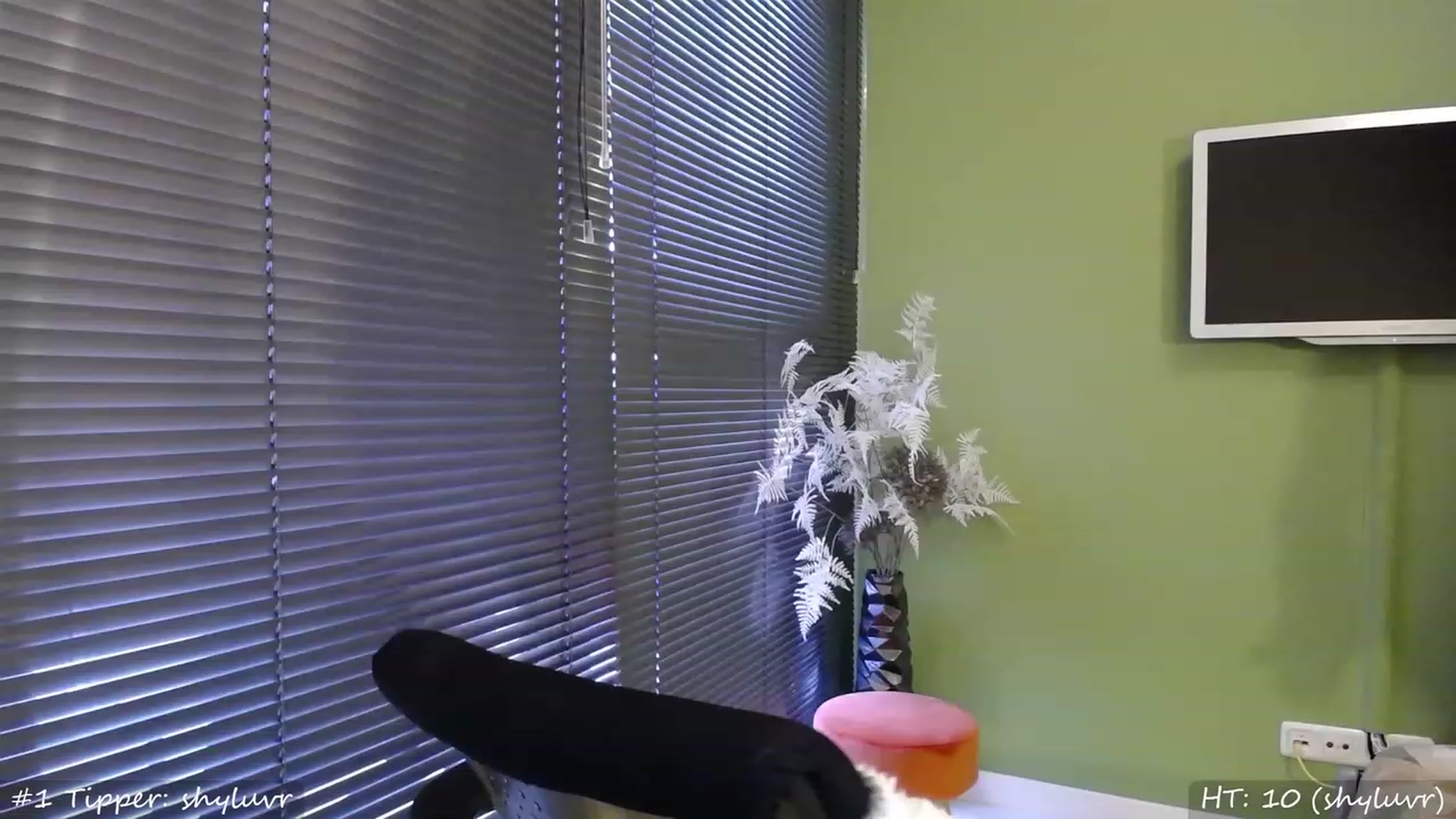 Gallery image thumbnail from MissMasie's myfreecams stream on, 08/27/2023, 19:01 image 5 of 20