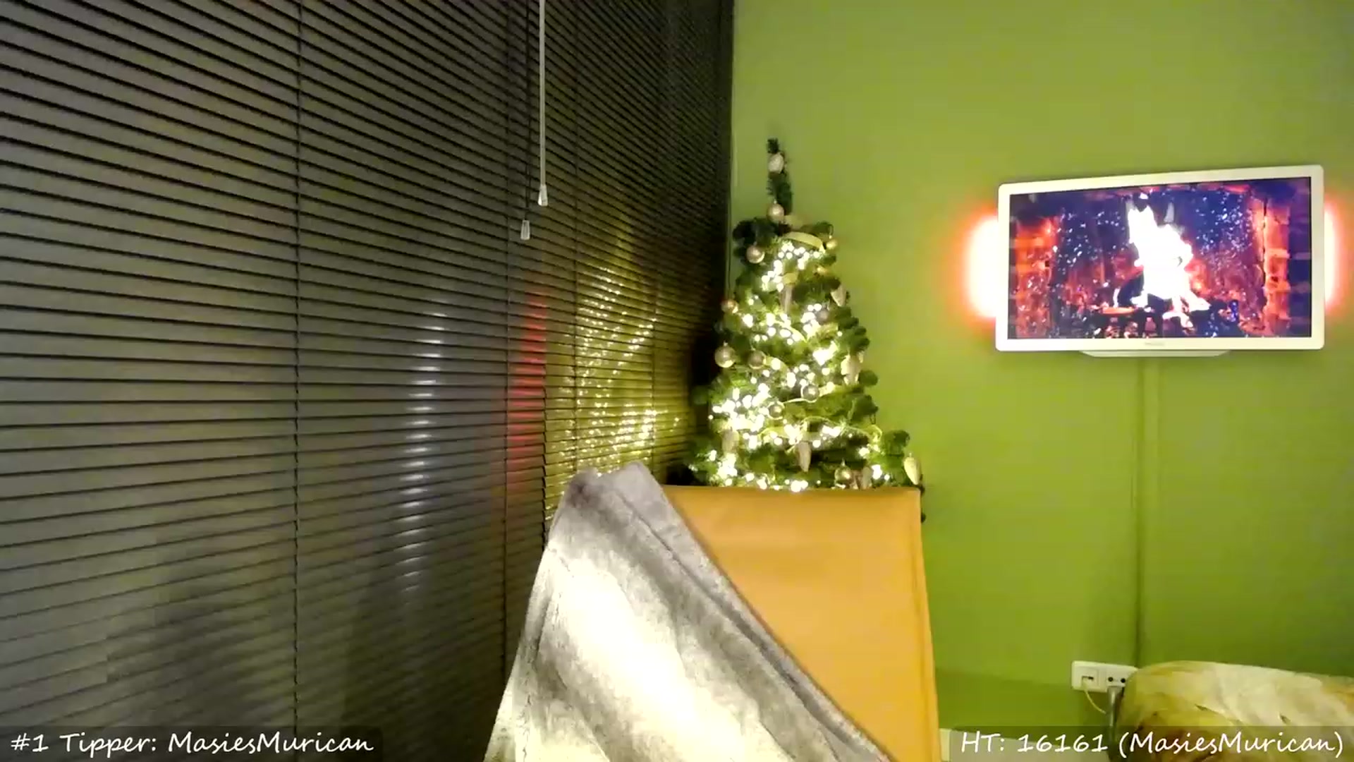 Gallery image thumbnail from MissMasie's myfreecams stream on, 12/25/2023, 24:25 image 11 of 20