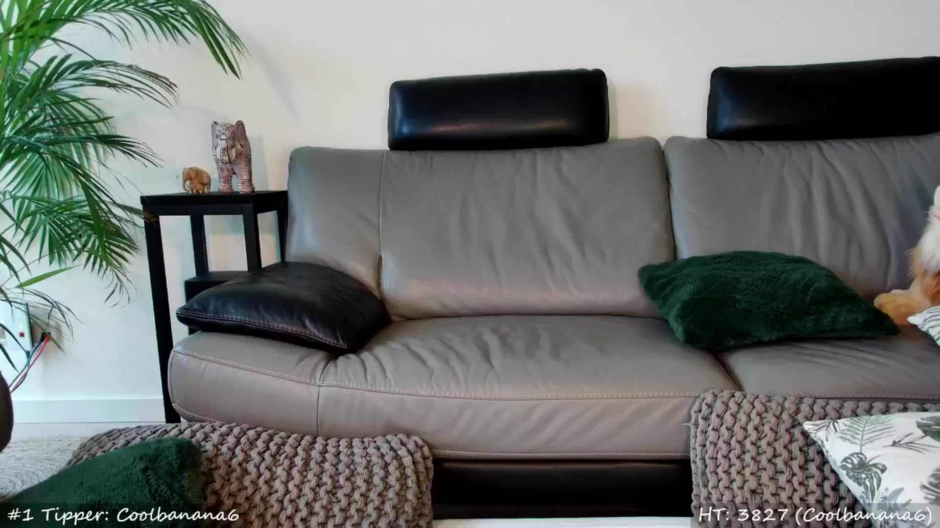 Gallery image thumbnail from MissMasie's myfreecams stream on, 06/30/2024, 22:22 image 10 of 20