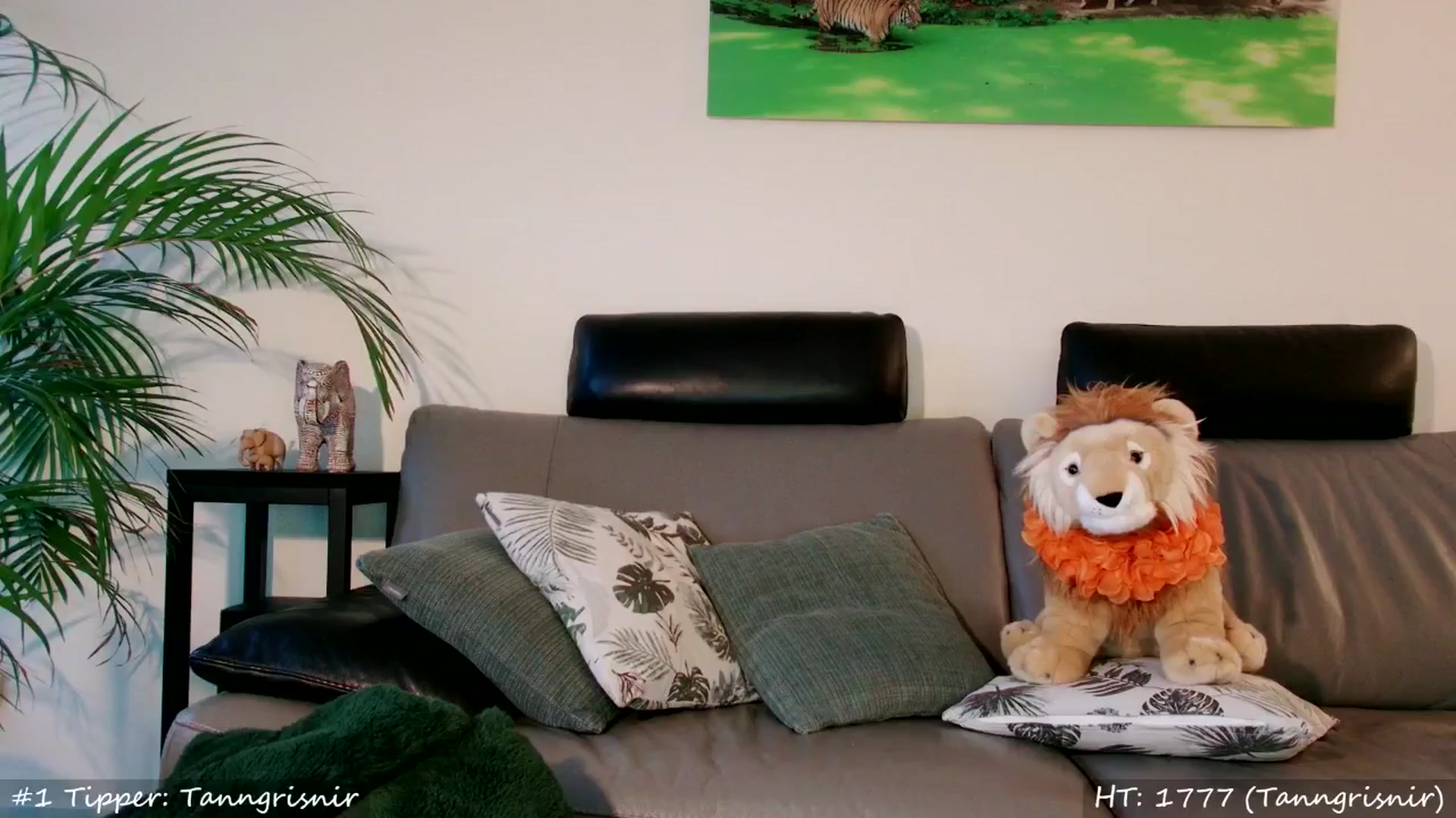 Gallery image thumbnail from MissMasie's myfreecams stream on, 07/05/2024, 22:55 image 5 of 20
