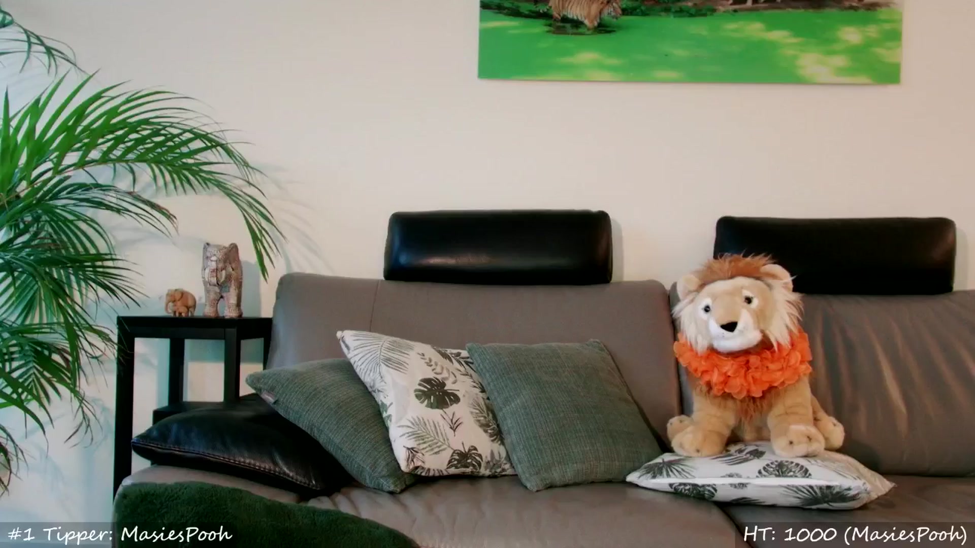 Gallery image thumbnail from MissMasie's myfreecams stream on, 07/05/2024, 22:55 image 2 of 20