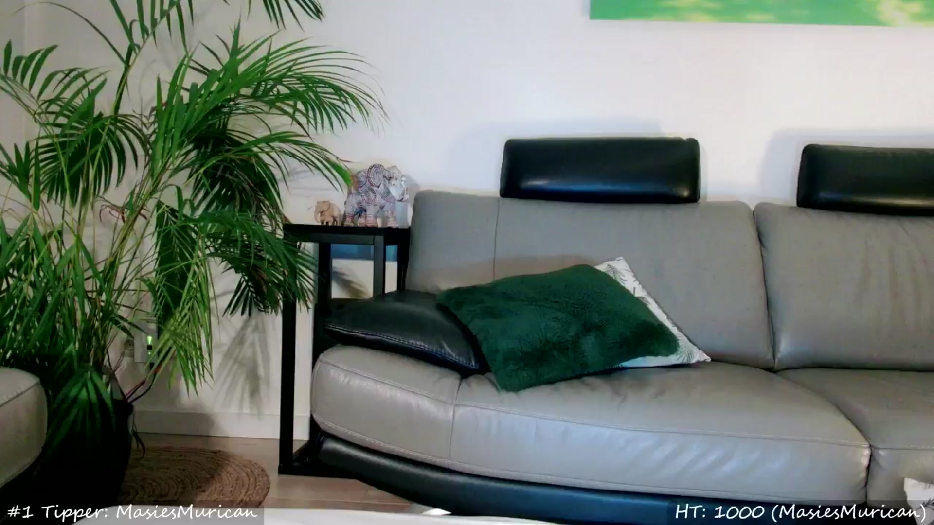 Gallery image thumbnail from MissMasie's myfreecams stream on, 08/24/2024, 24:07 image 7 of 20
