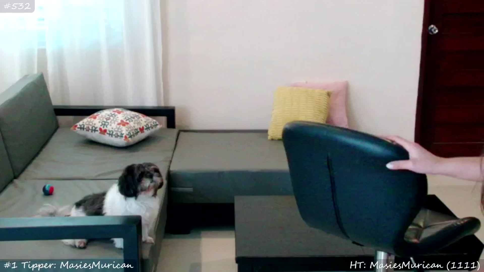 Gallery image thumbnail from MissMasie's myfreecams stream on, 03/26/2025, 05:42 image 13 of 20