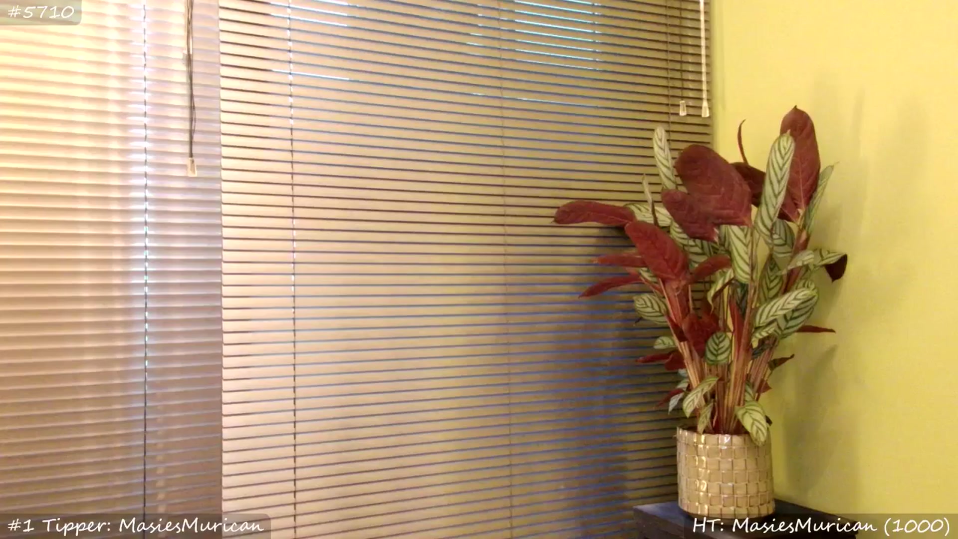 Gallery image thumbnail from MissMasie's myfreecams stream on, 06/20/2025, 20:26 image 20 of 20