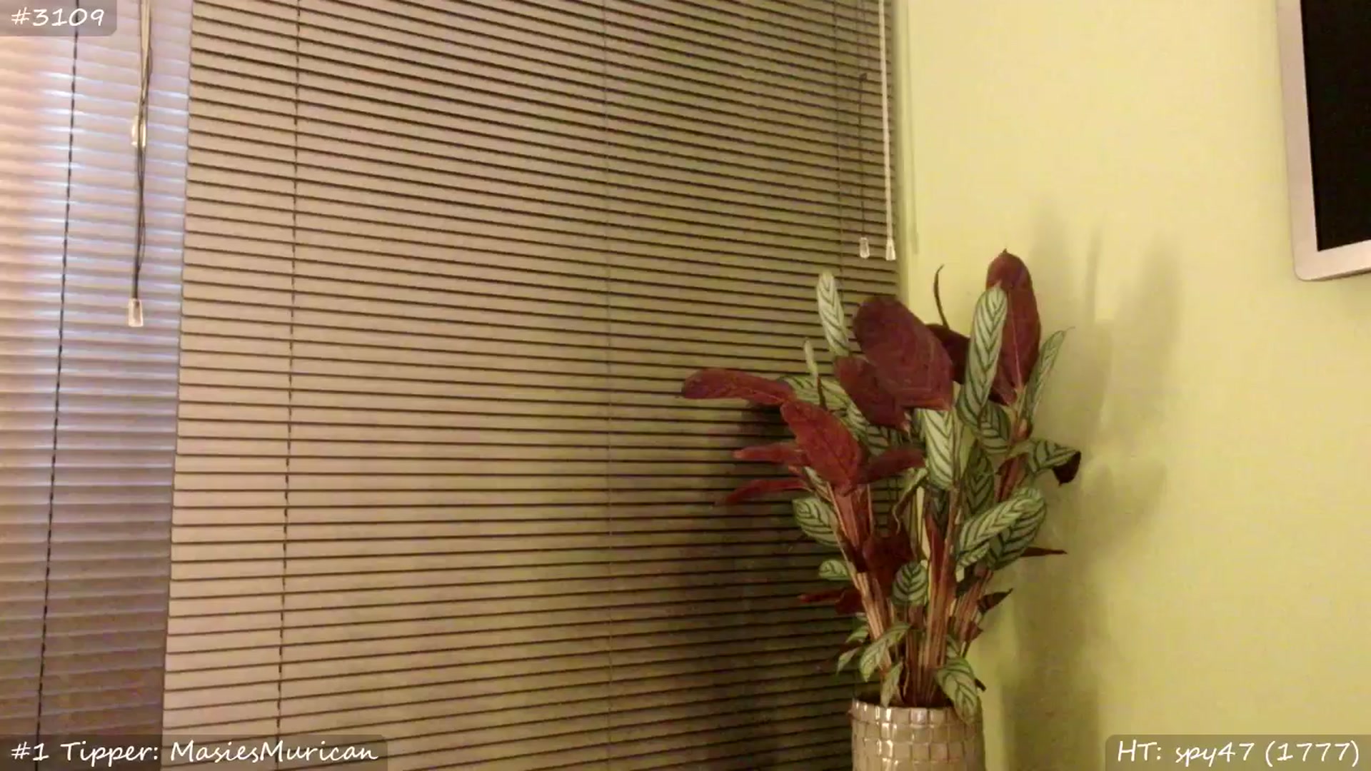 Gallery image thumbnail from MissMasie's myfreecams stream on, 06/20/2025, 22:34 image 15 of 20
