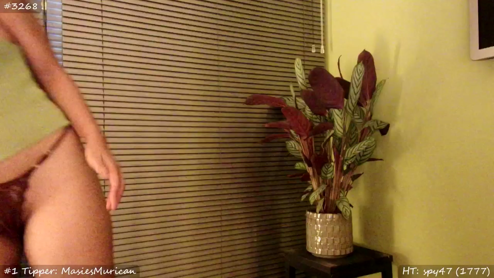 Gallery image thumbnail from MissMasie's myfreecams stream on, 06/20/2025, 22:34 image 12 of 20