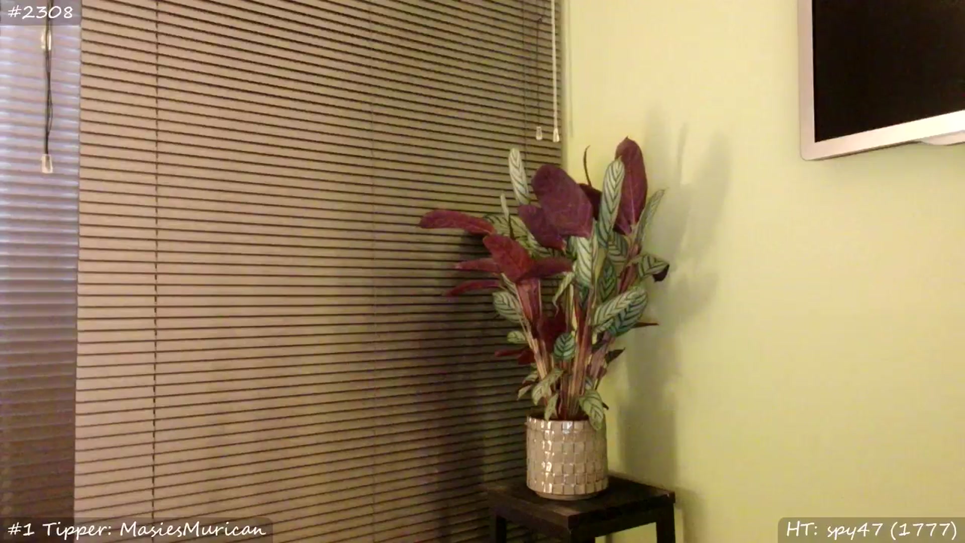 Gallery image thumbnail from MissMasie's myfreecams stream on, 06/20/2025, 23:46 image 20 of 20