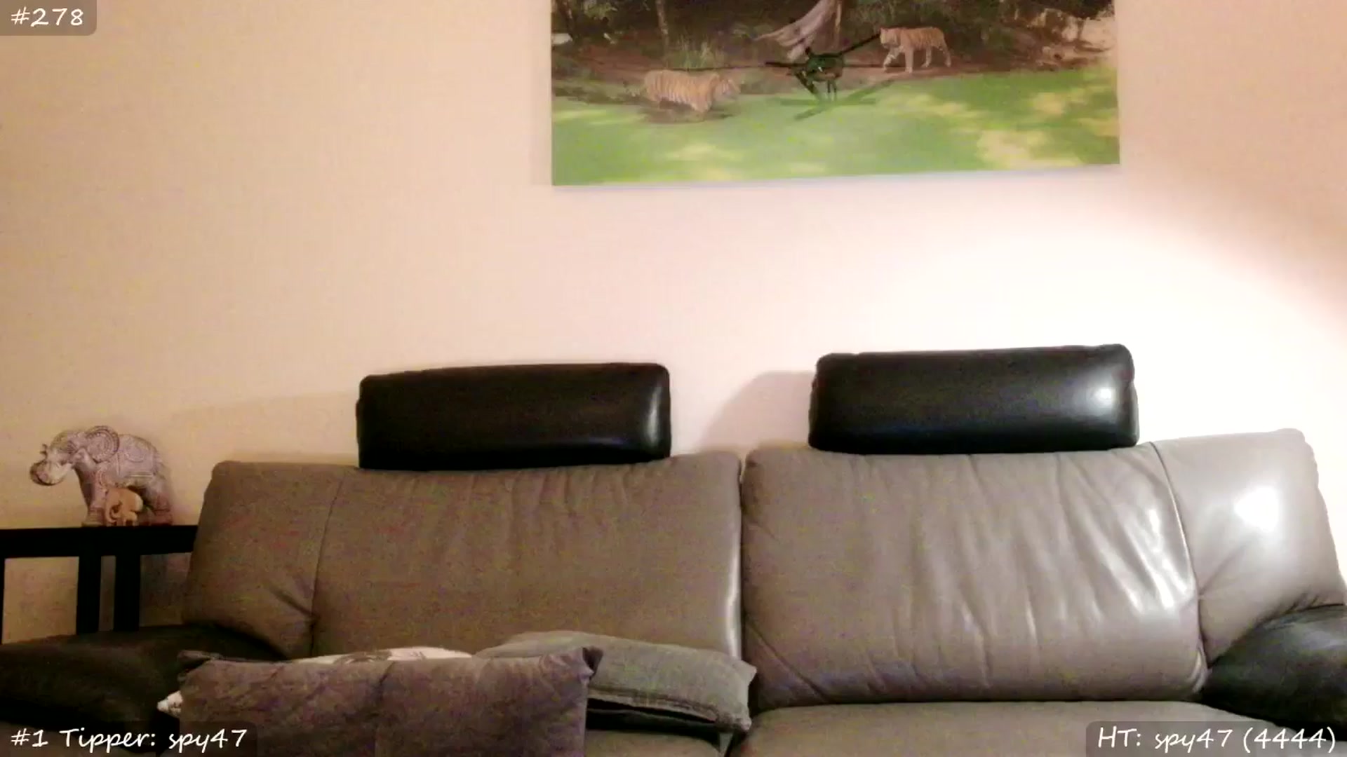 Gallery image thumbnail from MissMasie's myfreecams stream on, 11/30/2025, 07:29 image 9 of 20