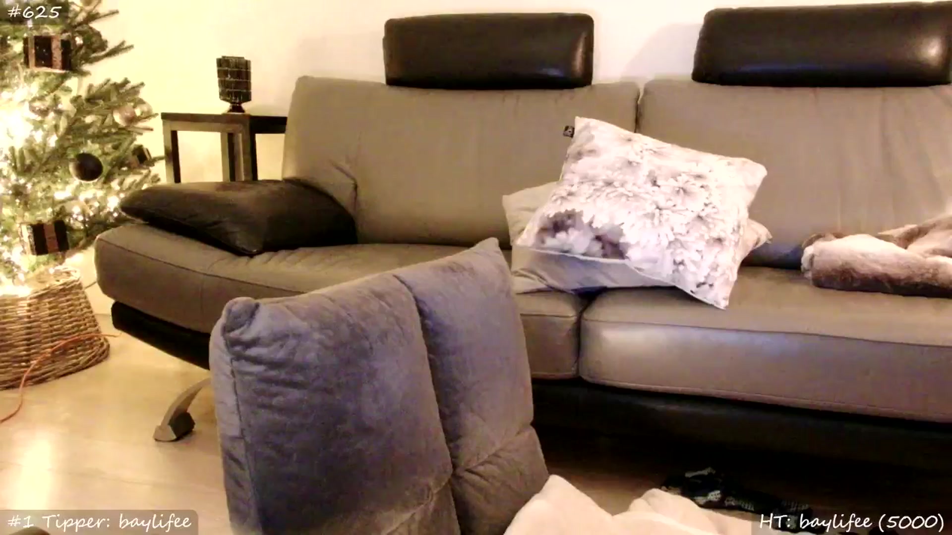 Gallery image thumbnail from MissMasie's myfreecams stream on, 12/06/2025, 08:06 image 15 of 20