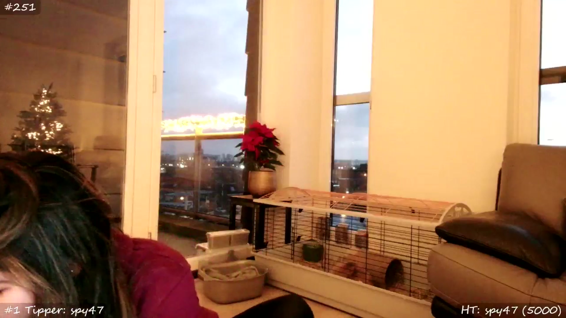 Gallery image thumbnail from MissMasie's myfreecams stream on, 12/07/2025, 07:41 image 16 of 20