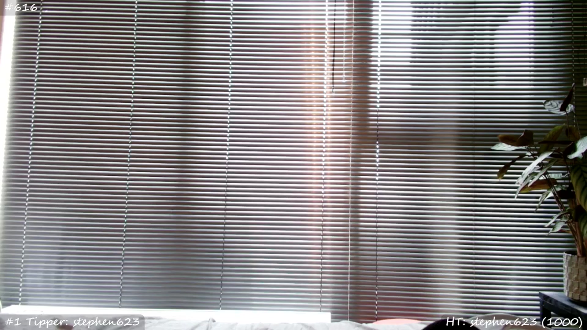 Gallery image thumbnail from MissMasie's myfreecams stream on, 04/13/2026, 15:47 image 6 of 20