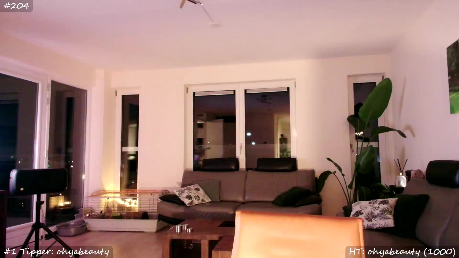 Gallery image thumbnail from MissMasie's myfreecams stream on, 05/17/2026, 24:03 image 10 of 20