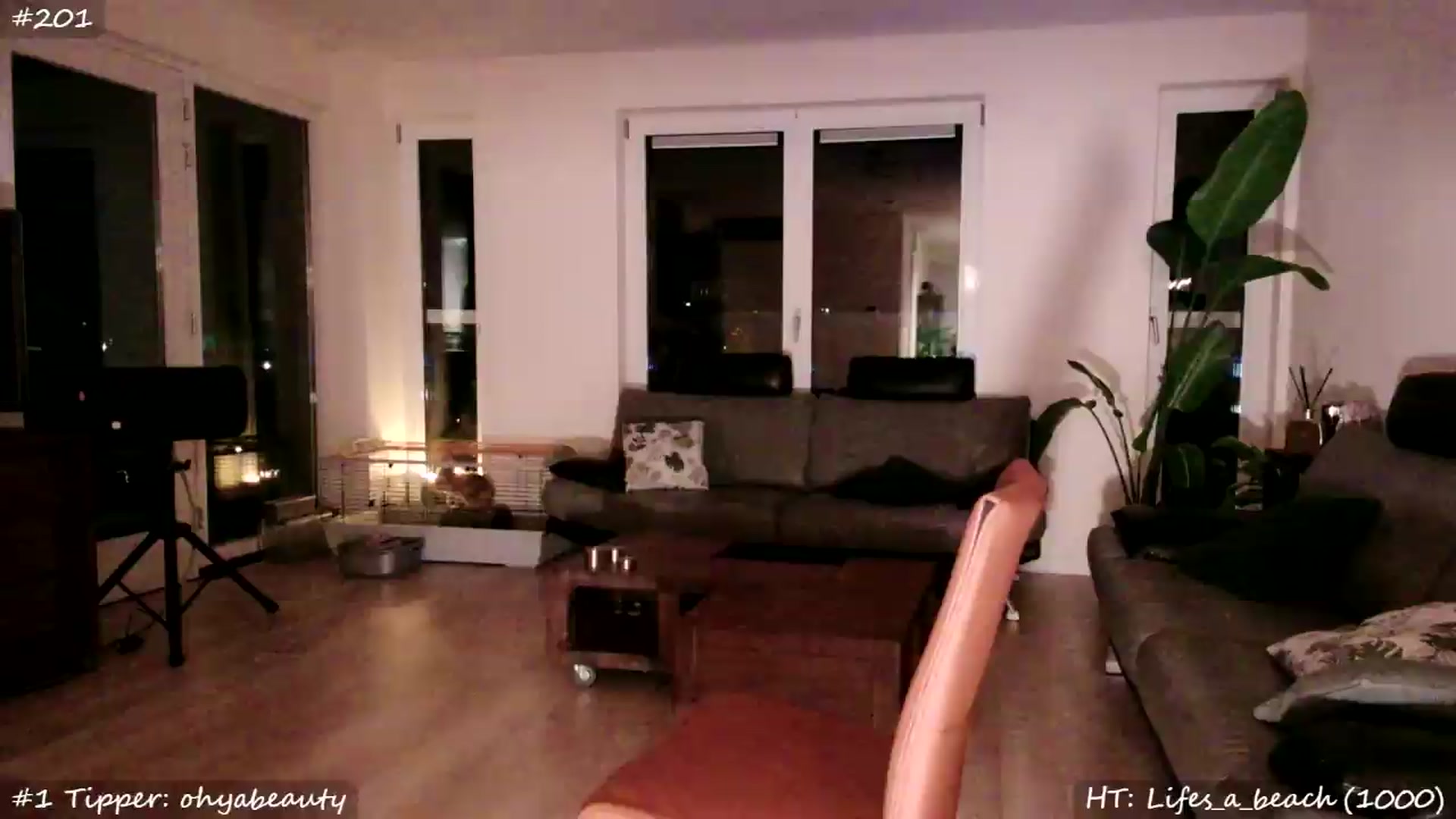 Gallery image thumbnail from MissMasie's myfreecams stream on, 05/23/2026, 02:29 image 1 of 20
