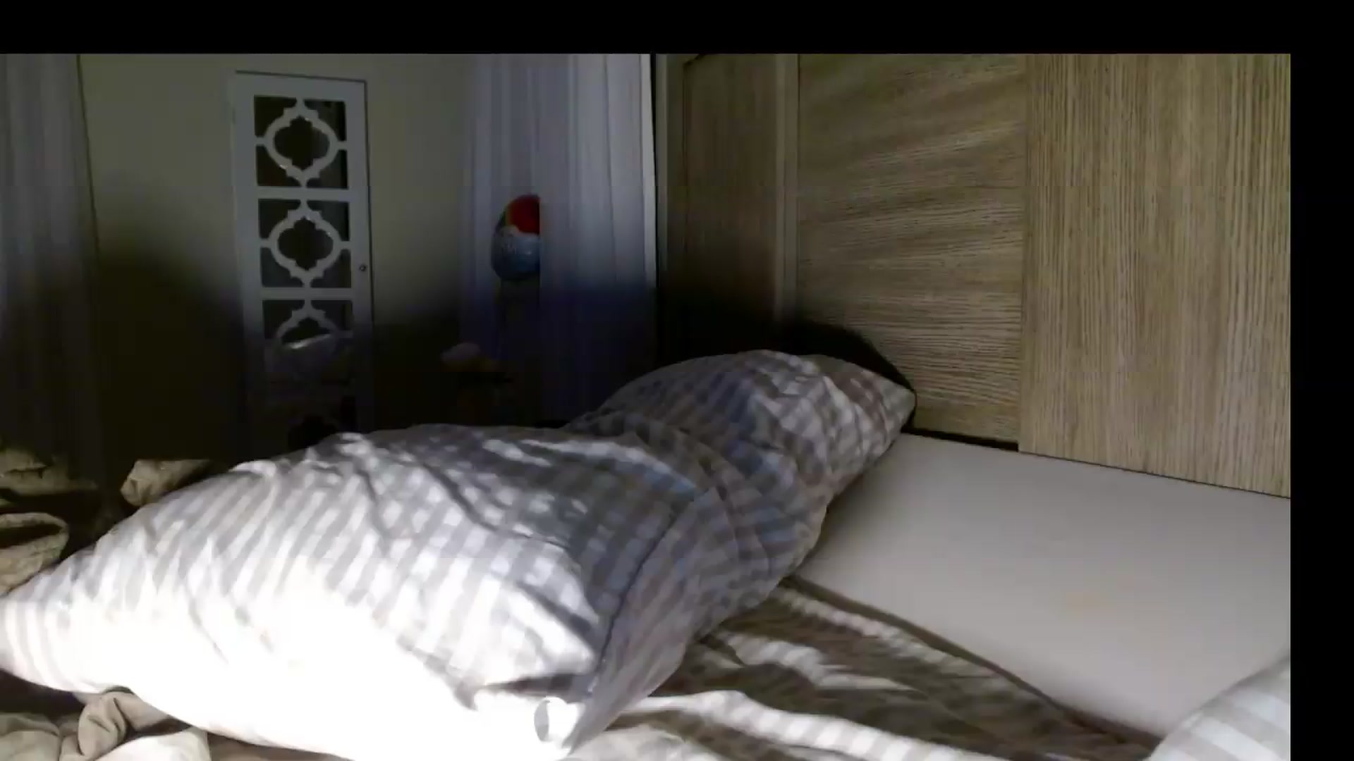 Gallery image thumbnail from MissMayah's myfreecams stream on, 07/19/2026, 08:41 image 17 of 20