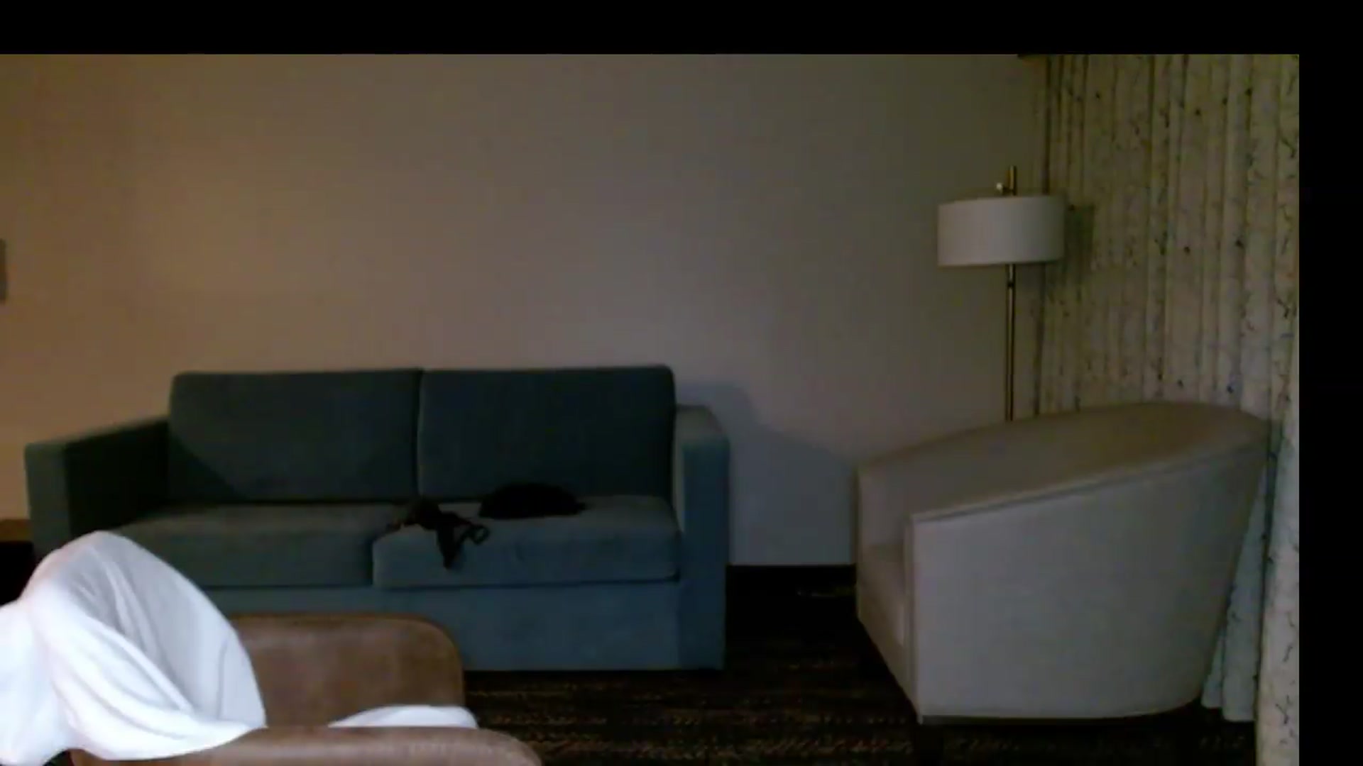 Gallery image thumbnail from MissMayah's myfreecams stream on, 09/13/2026, 04:56 image 19 of 20