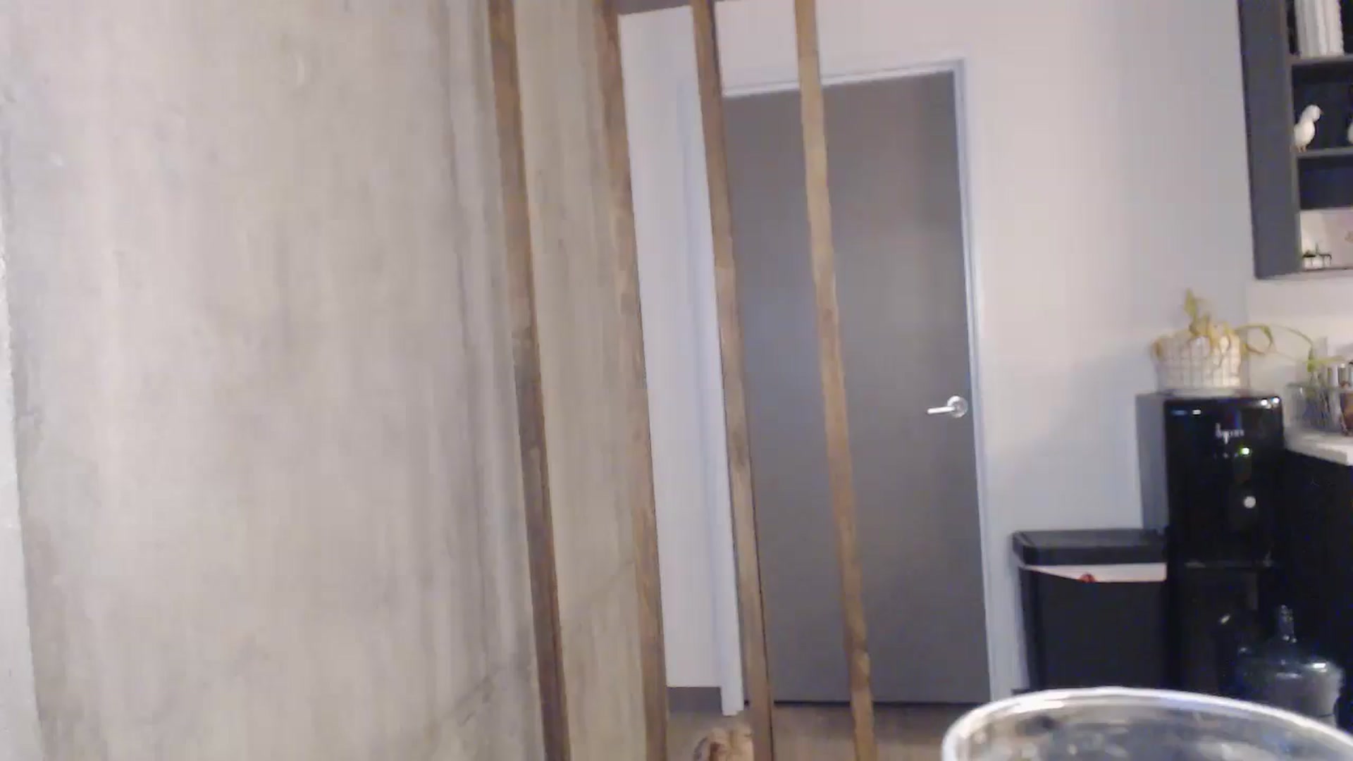 Gallery image thumbnail from MissMegatron's myfreecams stream on, 11/01/2025, 01:30 image 4 of 20