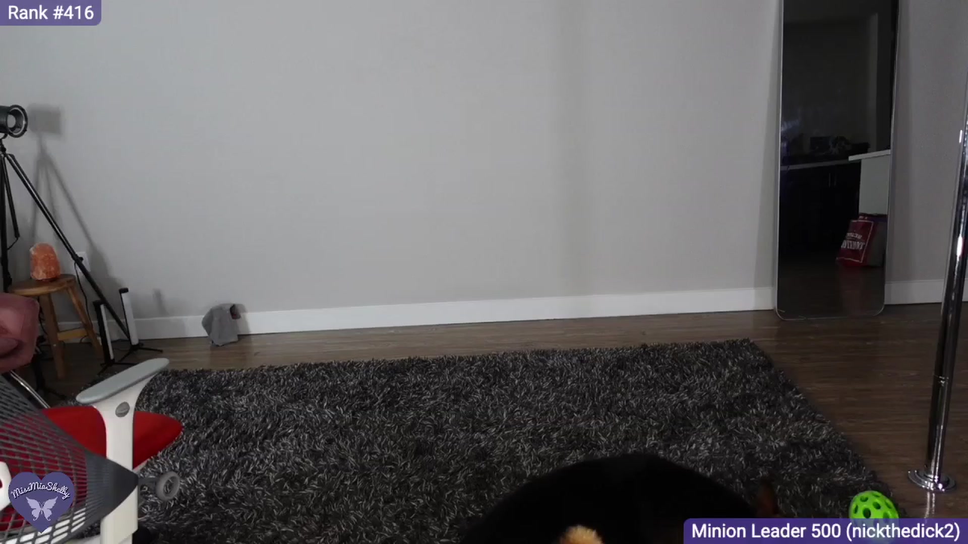 Gallery image thumbnail from MissMiaShelby's myfreecams stream on, 08/27/2023, 01:38 image 1 of 20