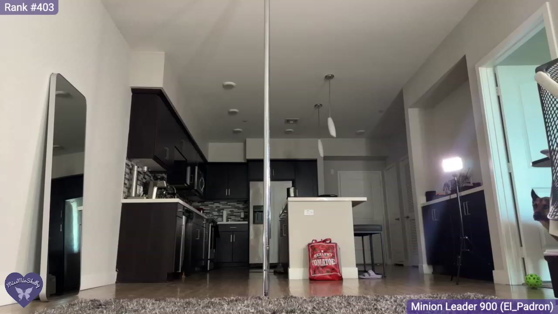 Gallery image thumbnail from MissMiaShelby's myfreecams stream on, 08/27/2023, 01:38 image 18 of 20