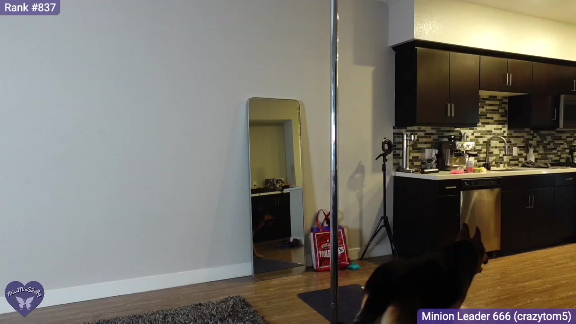Gallery image thumbnail from MissMiaShelby's myfreecams stream on, 09/03/2023, 04:57 image 11 of 20
