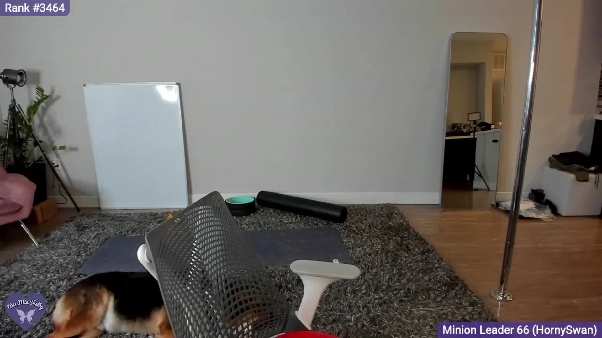 Gallery image thumbnail from MissMiaShelby's myfreecams stream on, 12/24/2023, 02:15 image 1 of 20