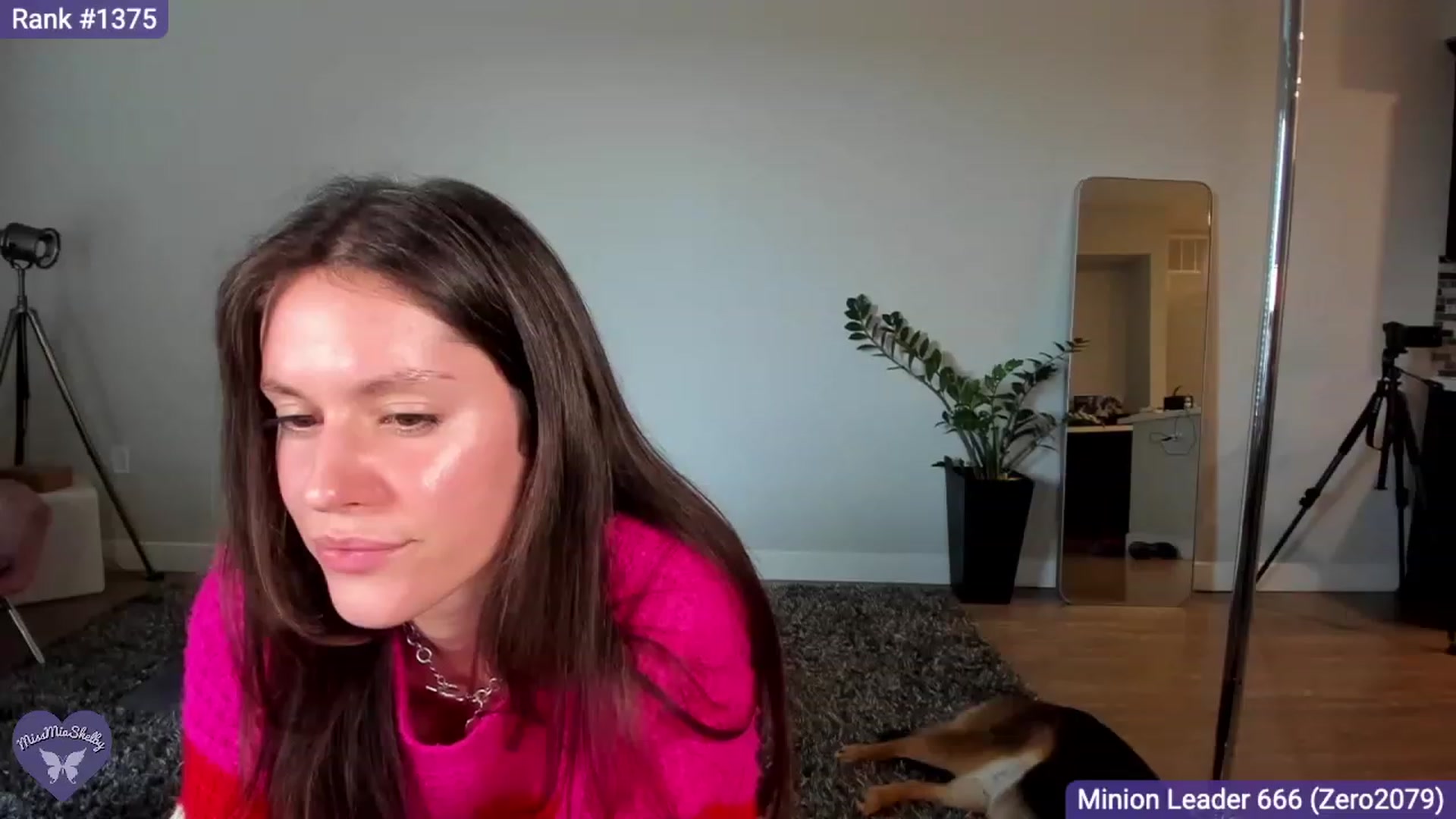 Gallery image thumbnail from MissMiaShelby's myfreecams stream on, 03/09/2024, 23:48 image 16 of 20