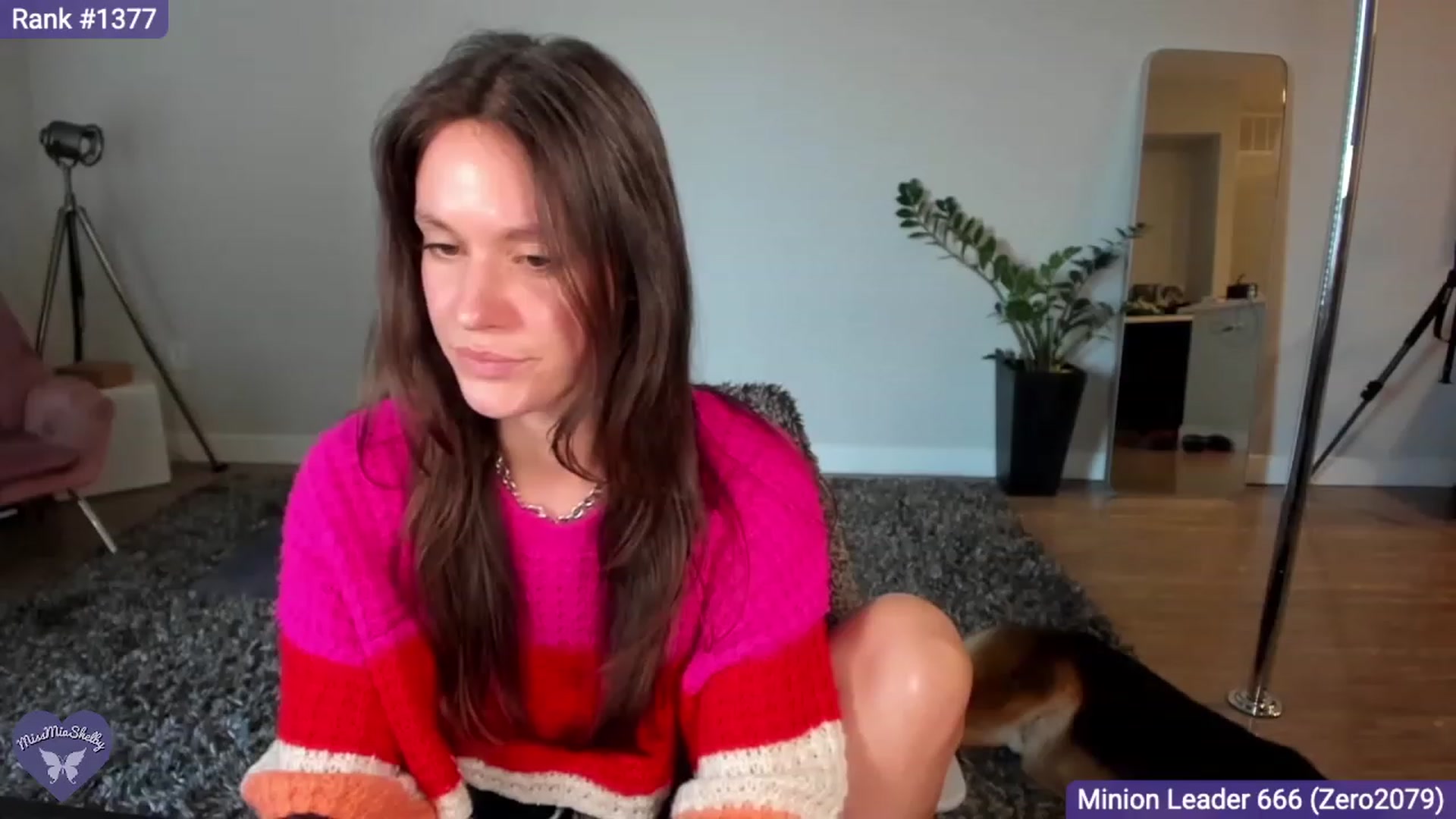 Gallery image thumbnail from MissMiaShelby's myfreecams stream on, 03/09/2024, 23:48 image 13 of 20