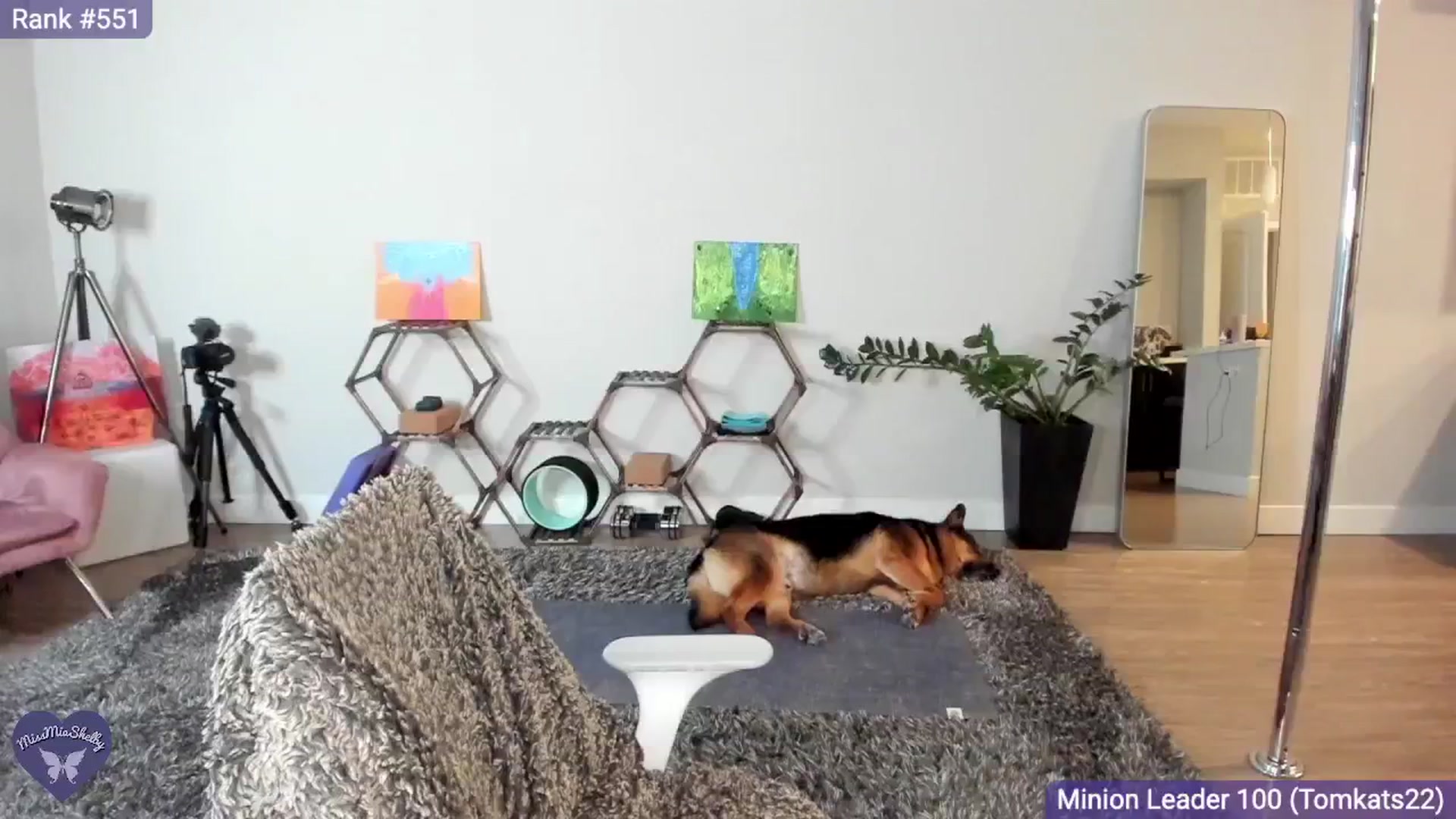 Gallery image thumbnail from MissMiaShelby's myfreecams stream on, 05/16/2024, 03:11 image 14 of 20