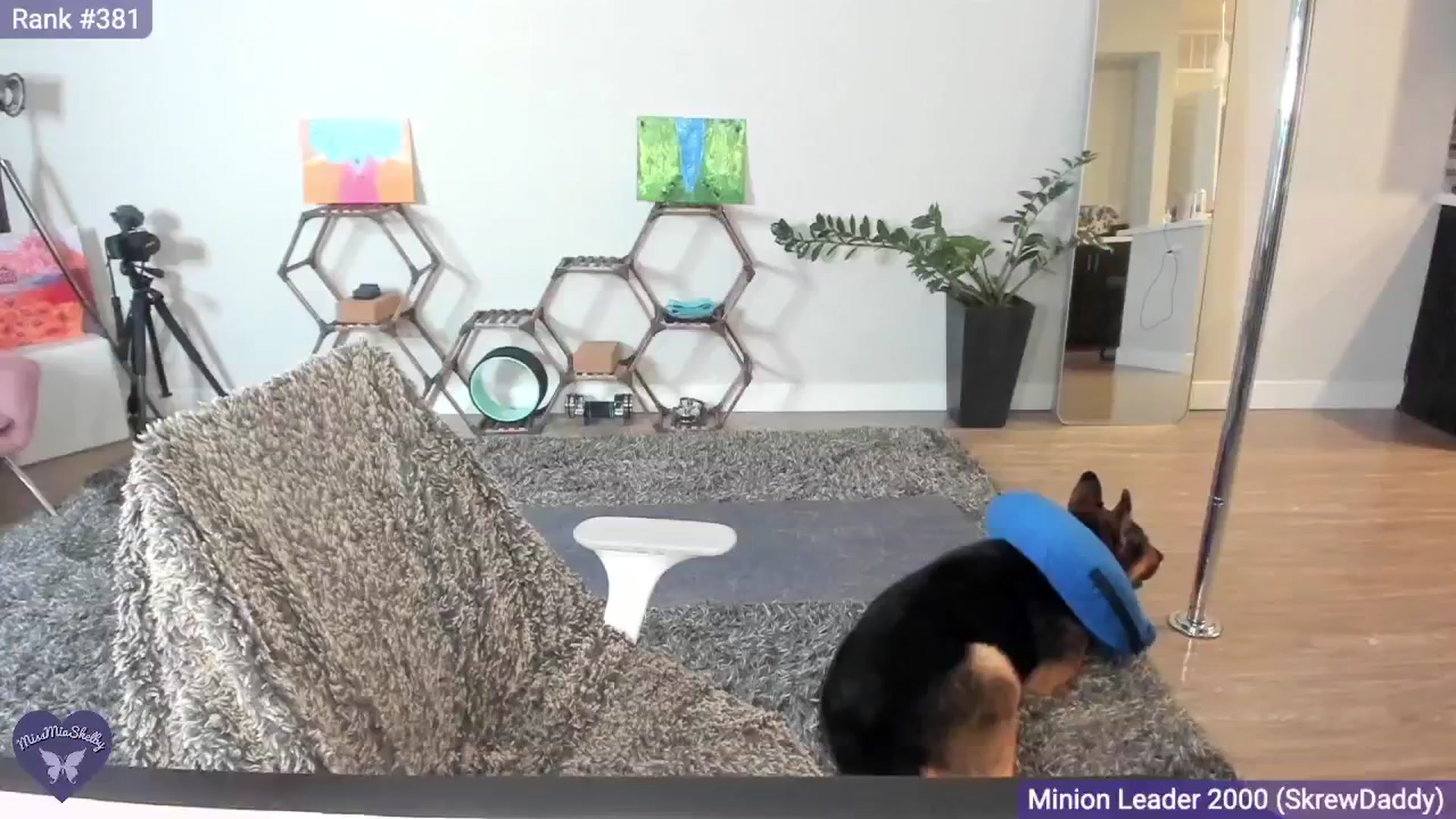 Gallery image thumbnail from MissMiaShelby's myfreecams stream on, 05/17/2024, 04:23 image 7 of 20
