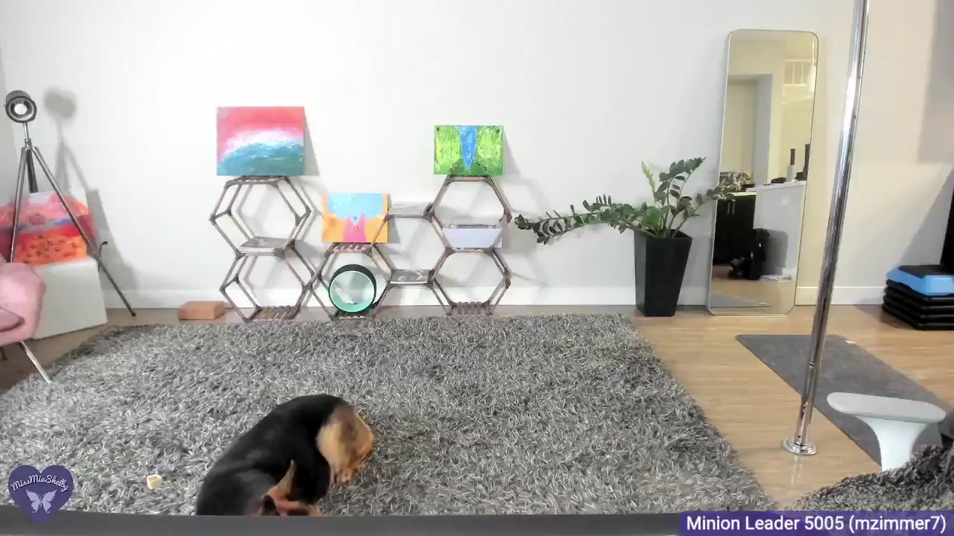 Gallery image thumbnail from MissMiaShelby's myfreecams stream on, 10/11/2024, 06:23 image 19 of 20