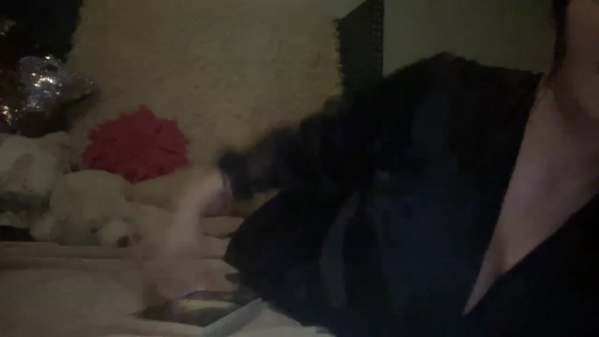 Gallery image thumbnail from MissNariman's myfreecams stream on, 11/22/2022, 03:43 image 1 of 20