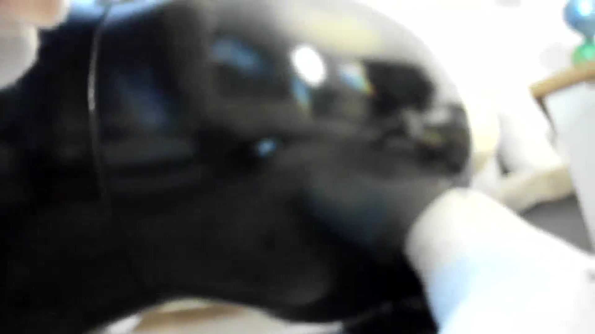 Gallery image thumbnail from MissNelly_'s myfreecams stream on, 12/01/2023, 24:02 image 15 of 20