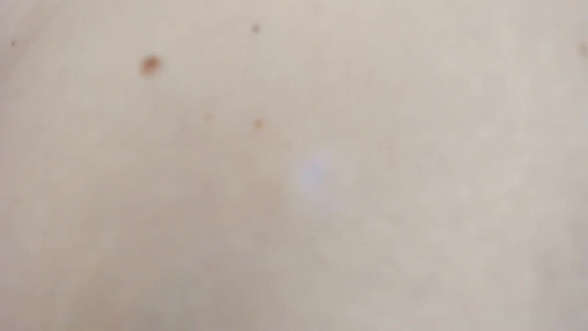 Gallery image thumbnail from MissNelly_'s myfreecams stream on, 03/25/2024, 12:34 image 19 of 20