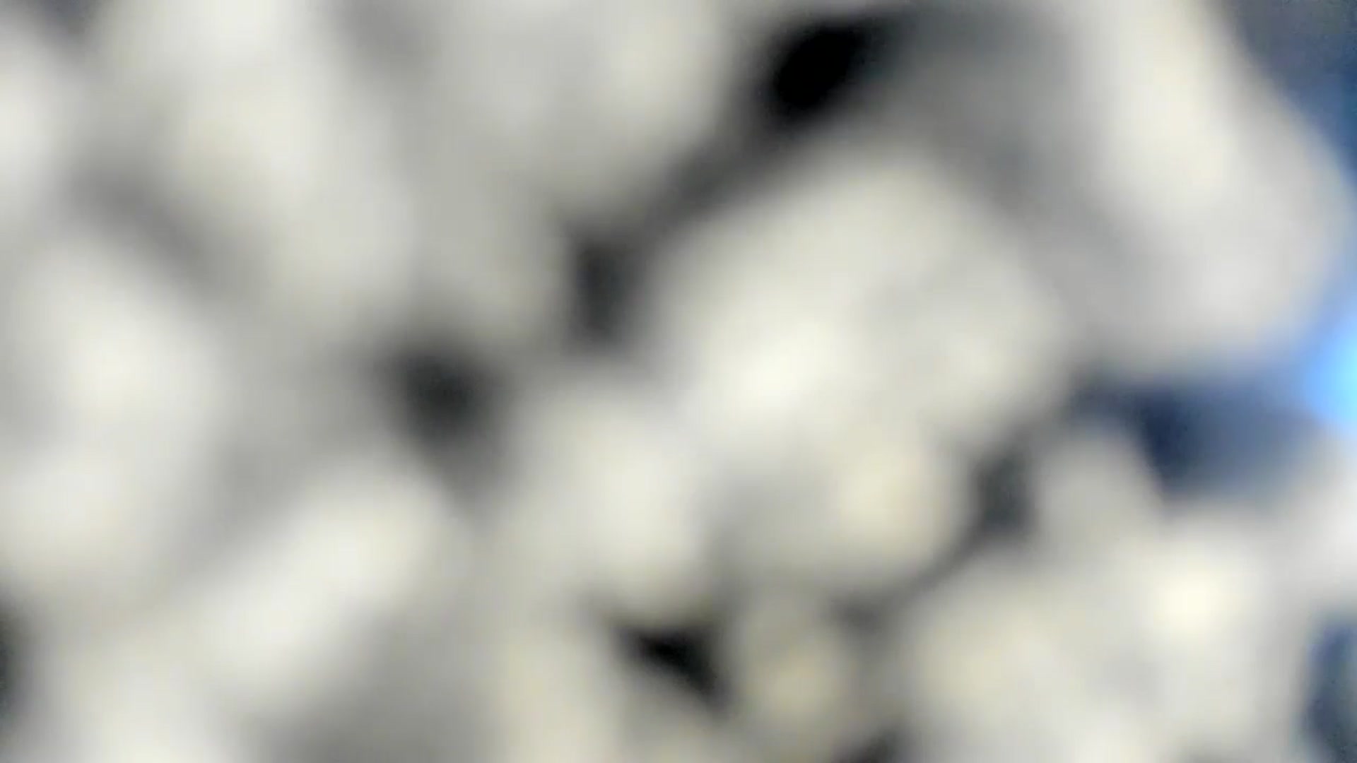 Gallery image thumbnail from MissNelly_'s myfreecams stream on, 03/14/2025, 14:54 image 8 of 20