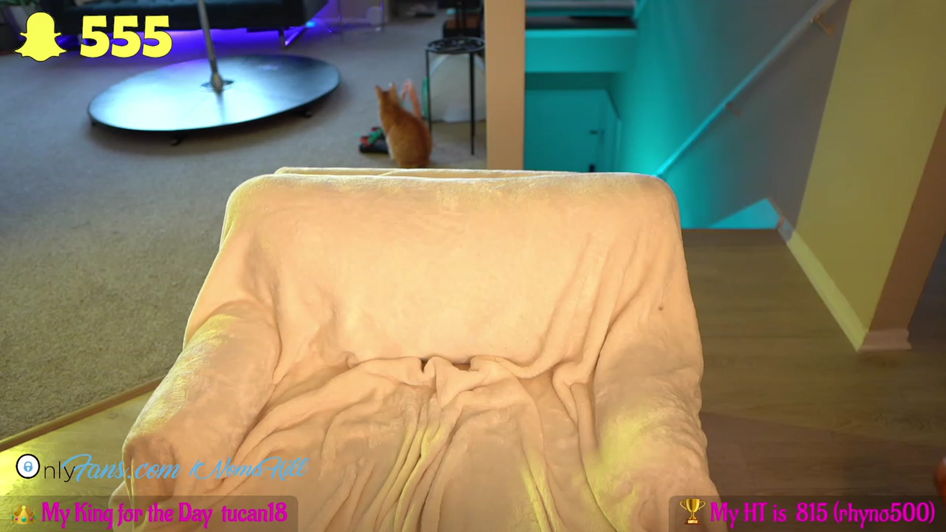 Gallery image thumbnail from MissNomaFrog's myfreecams stream on, 05/31/2023, 24:12 image 16 of 20
