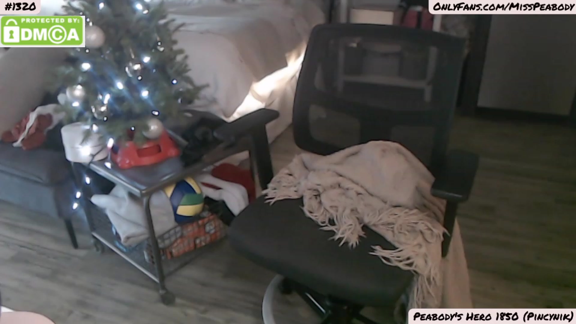 Gallery image thumbnail from MissPeabody's myfreecams stream on, 12/20/2022, 20:48 image 2 of 20